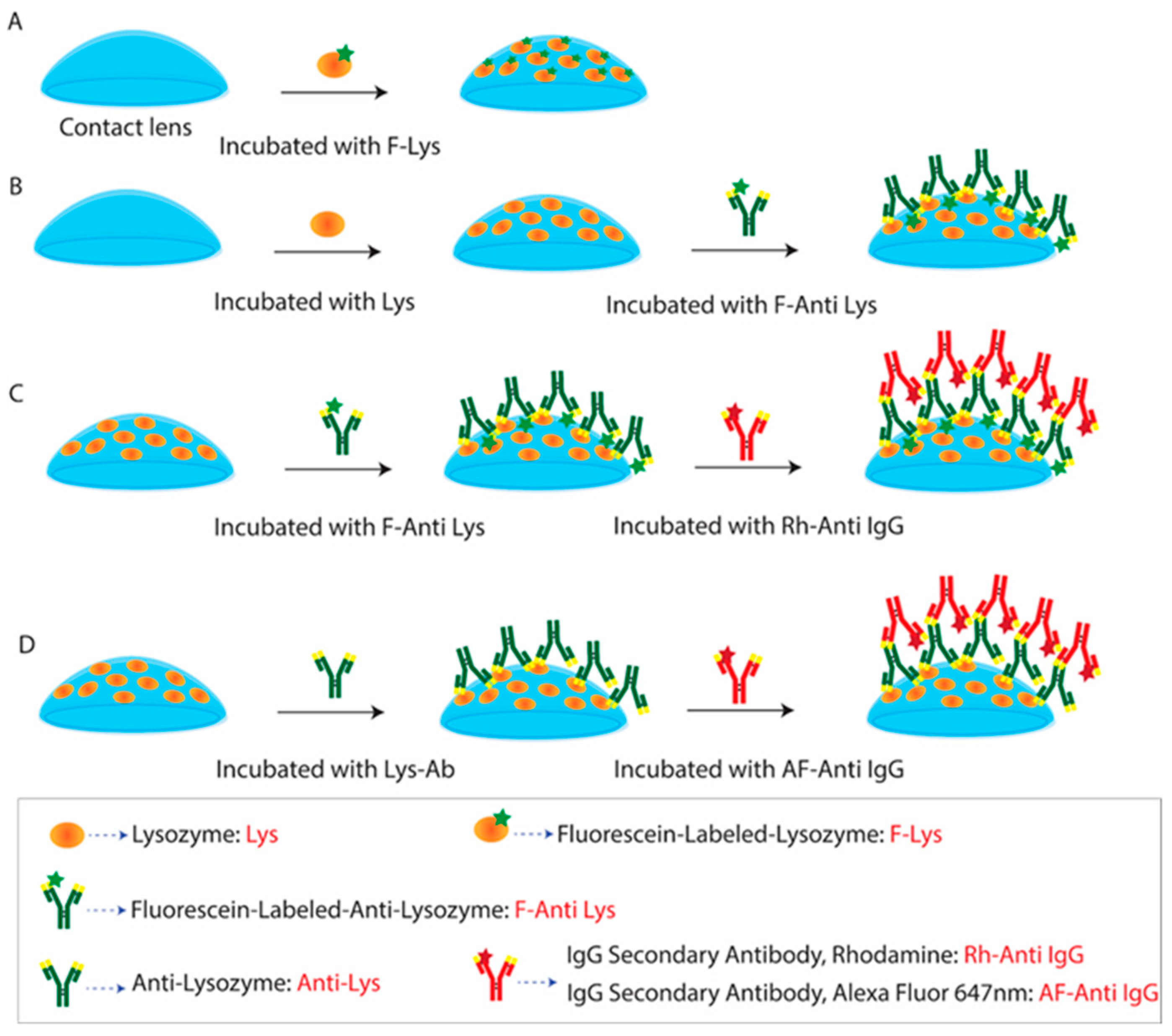 Biosensors 15 00326 g002