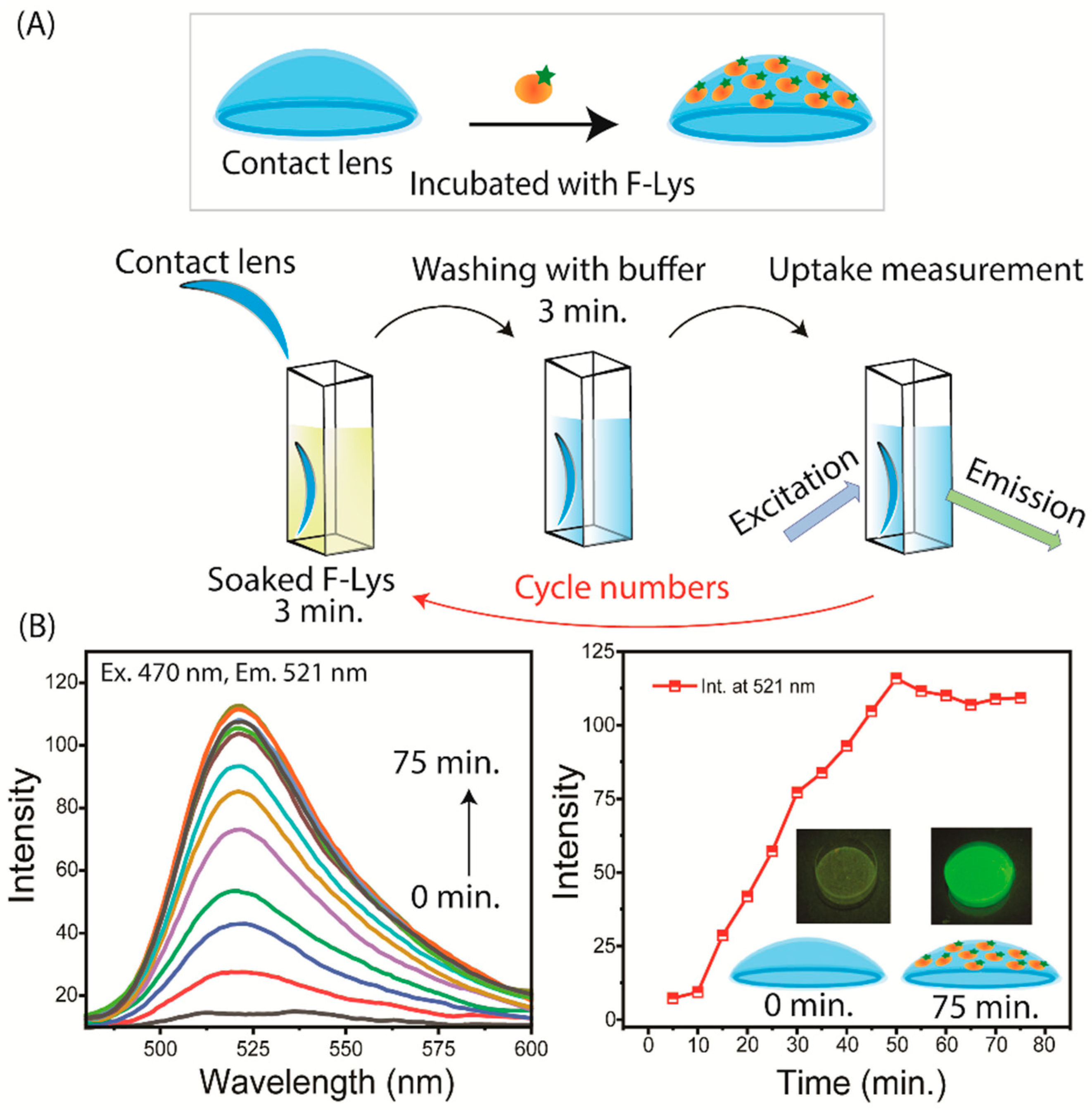 Biosensors 15 00326 g003
