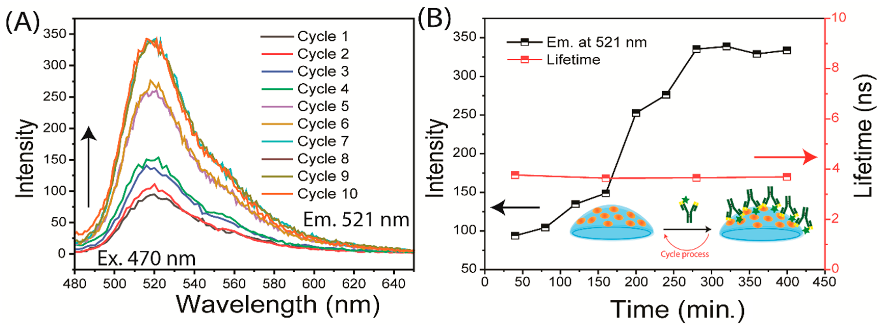 Biosensors 15 00326 g005