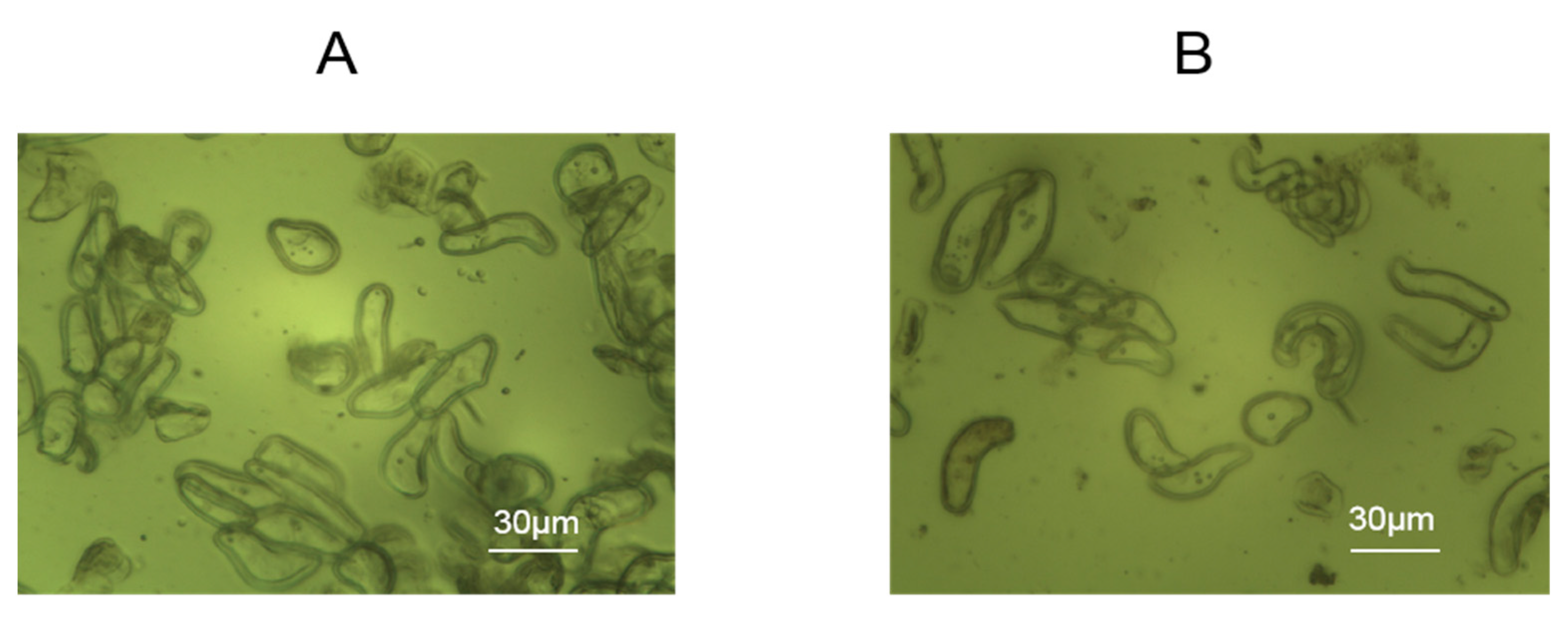 Biosensors 15 00334 g002