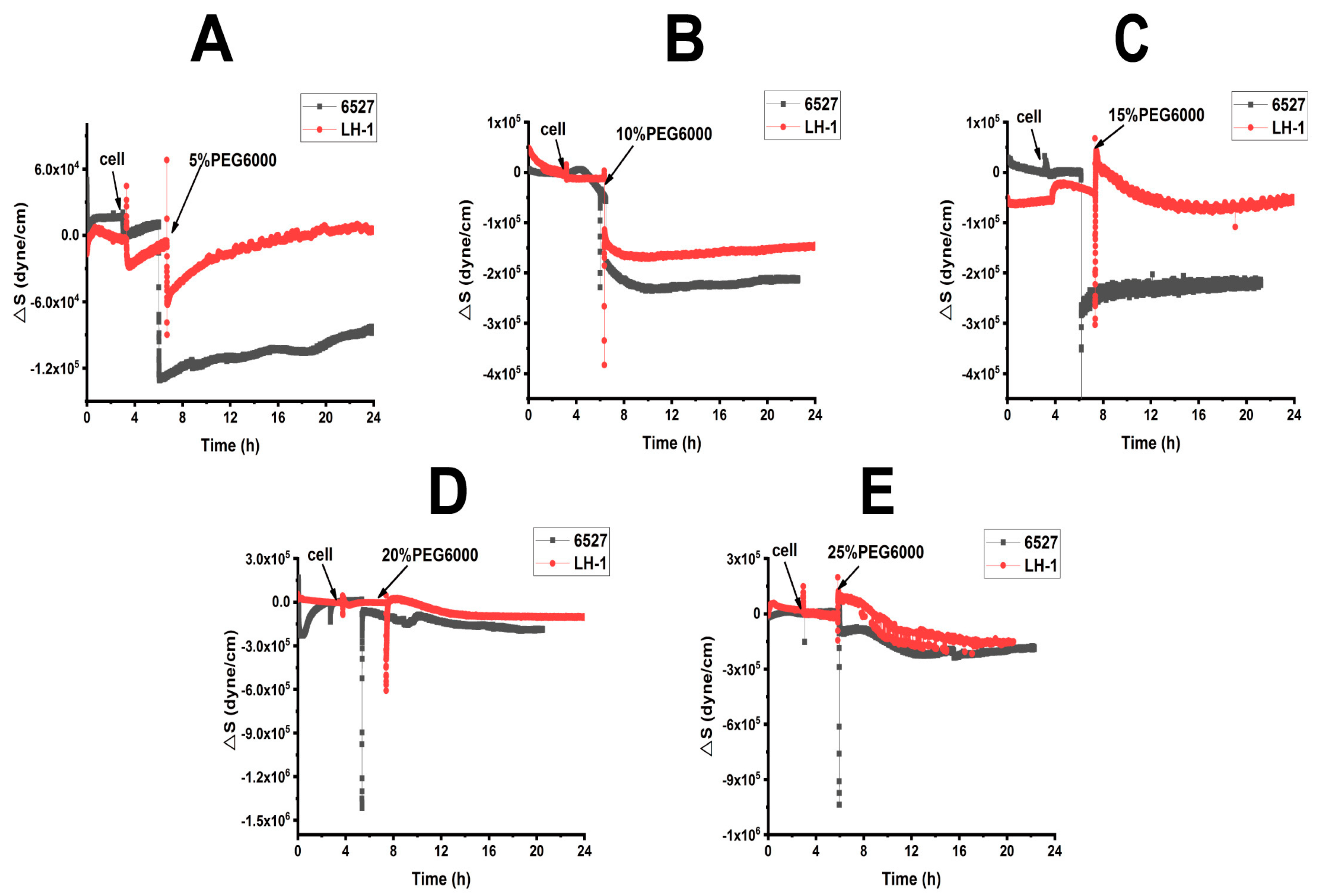 Biosensors 15 00334 g003