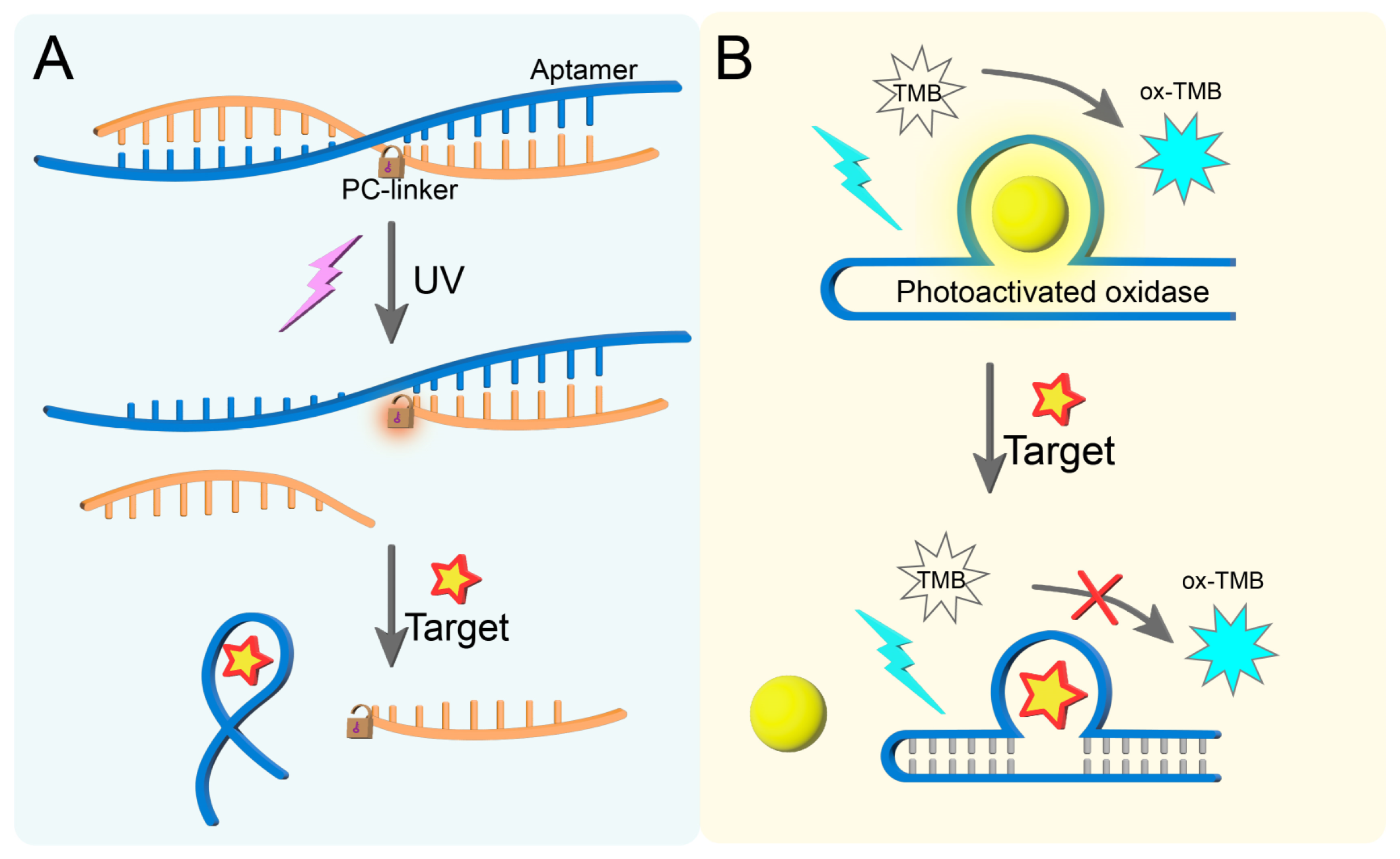 Biosensors 15 00336 g002