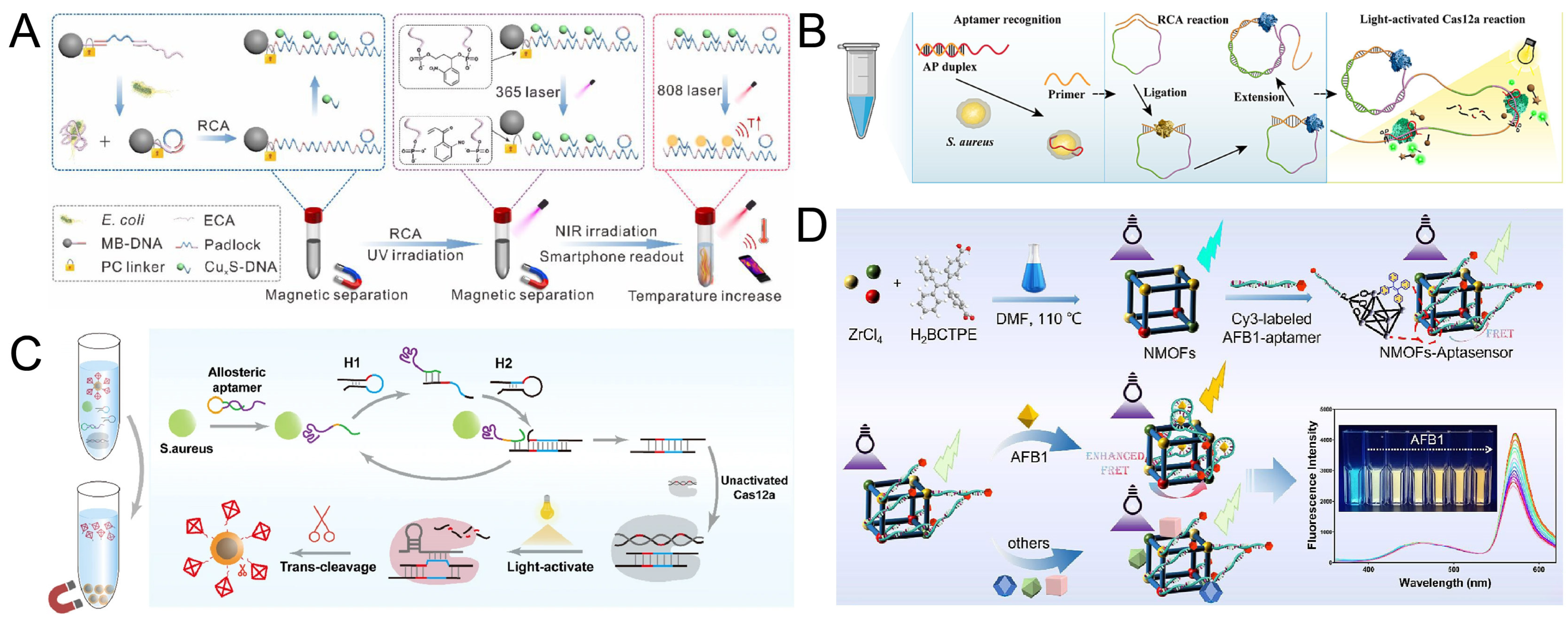 Biosensors 15 00336 g004