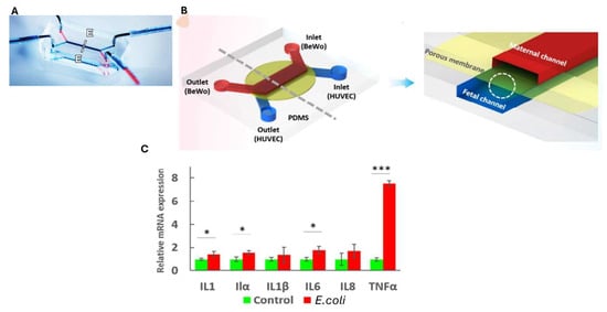 Biosensors 15 00338 g011