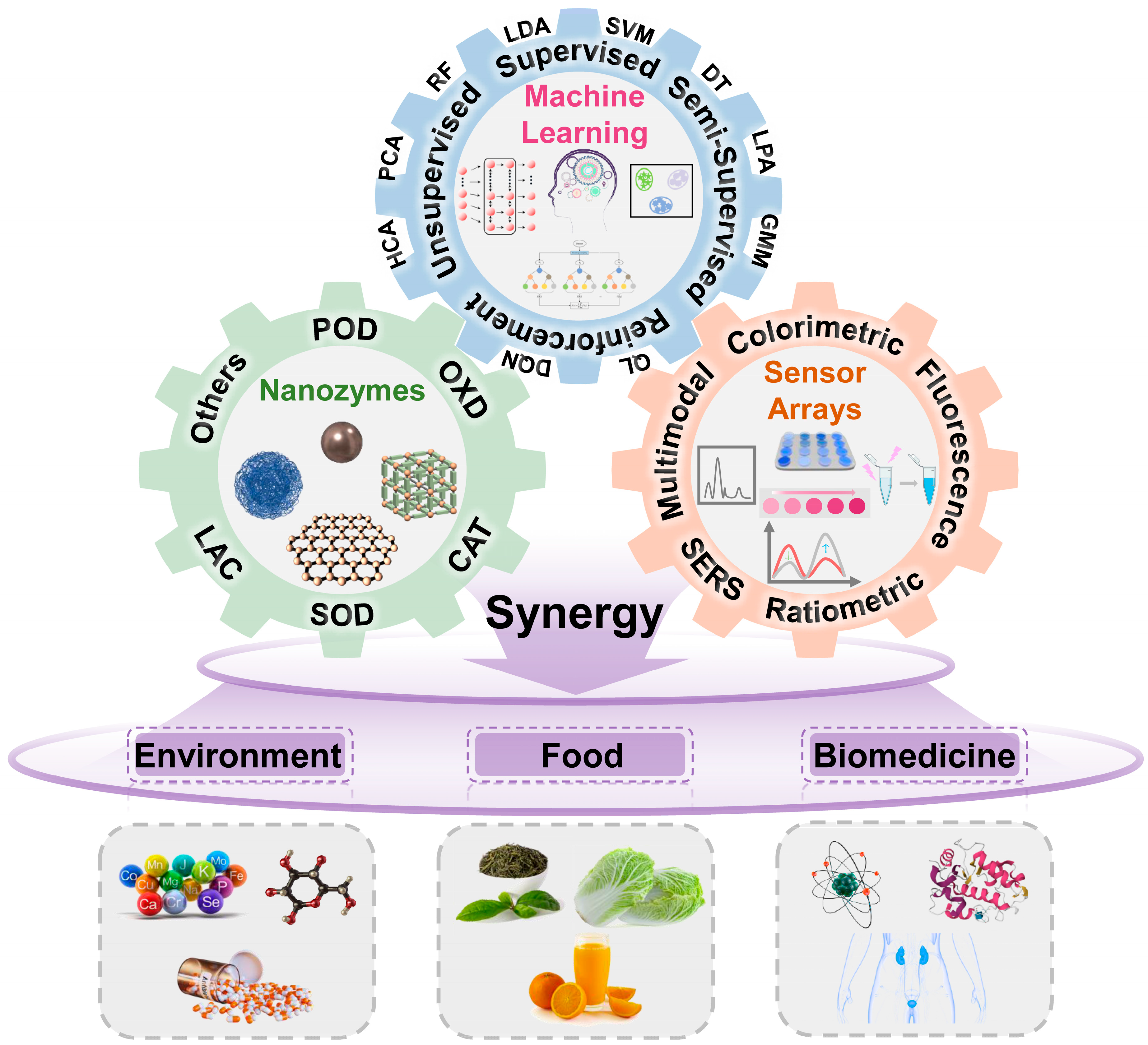 Biosensors 15 00344 g001
