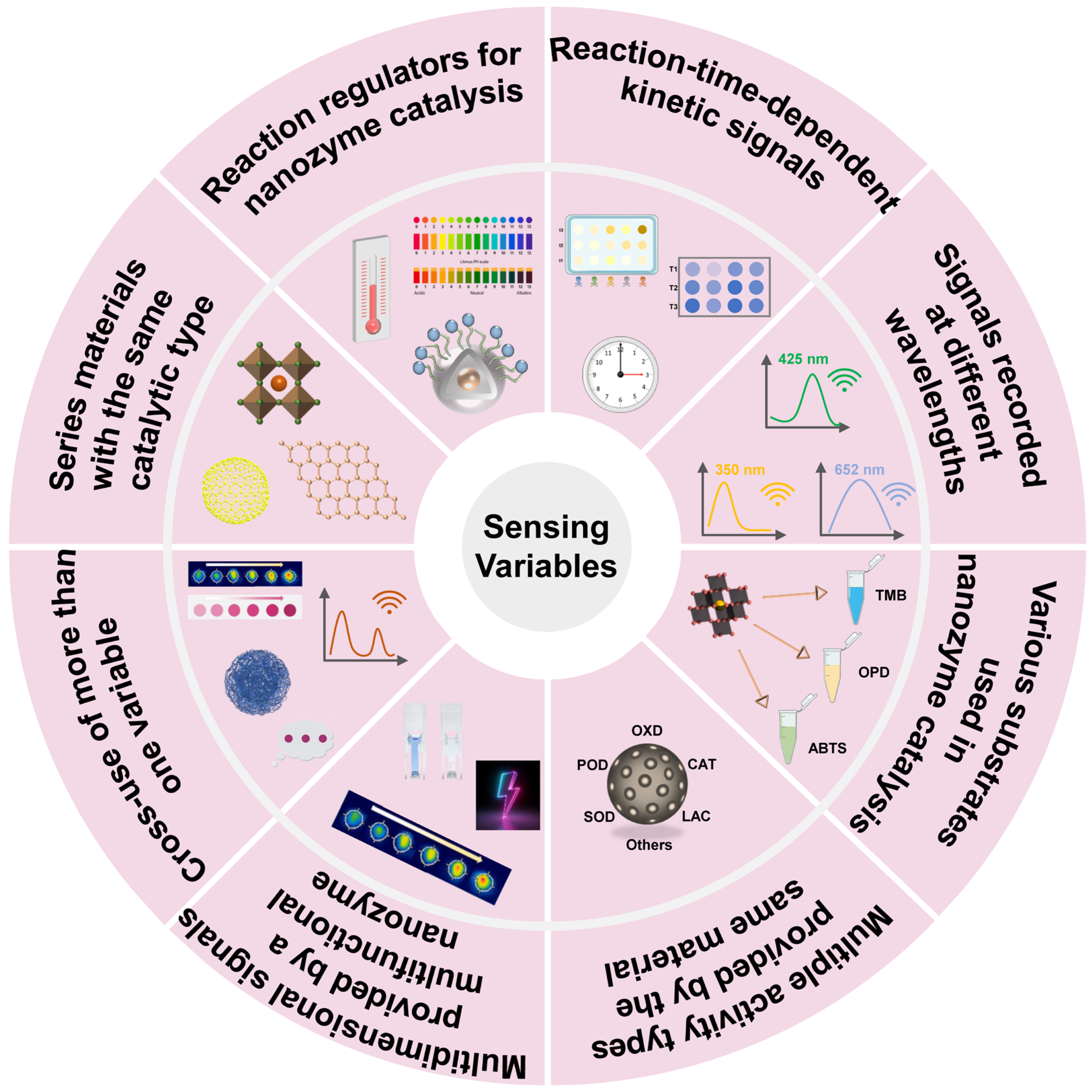 Biosensors 15 00344 g002