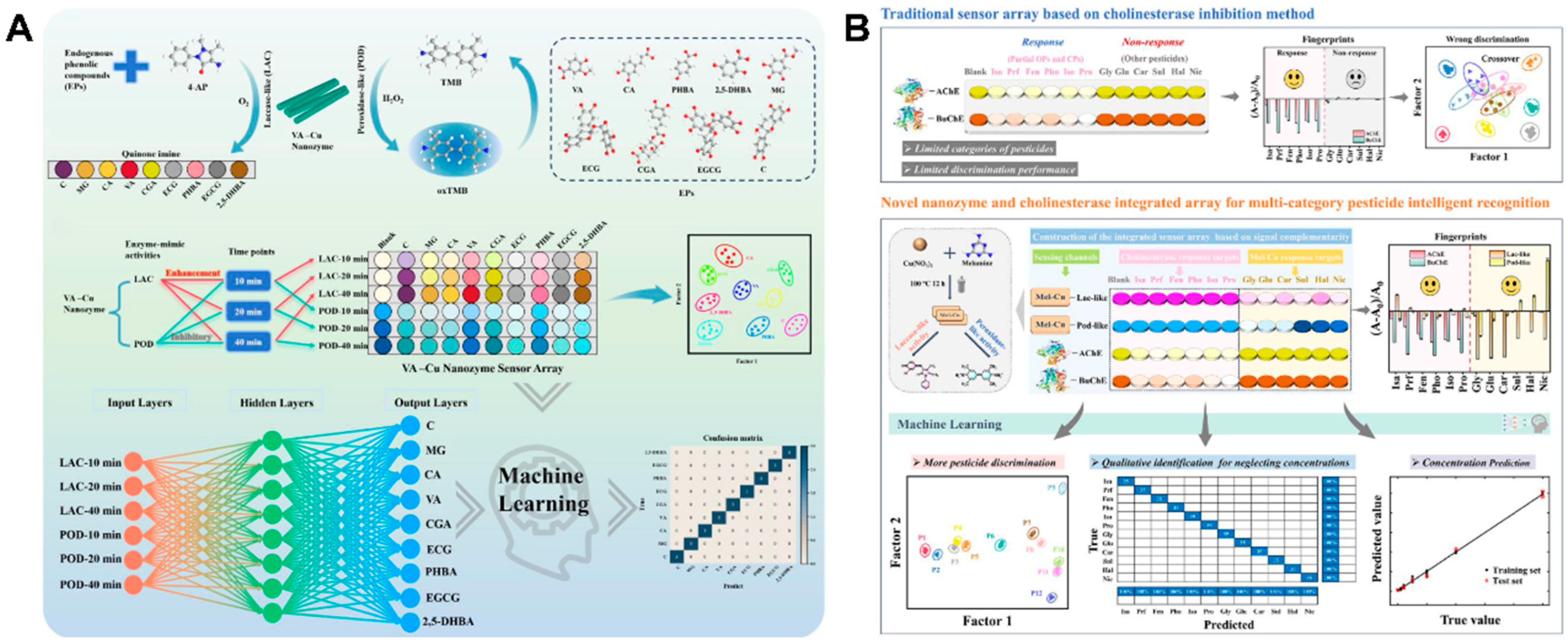 Biosensors 15 00344 g004