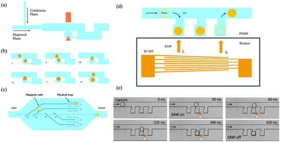 Biosensors 15 00345 g009
