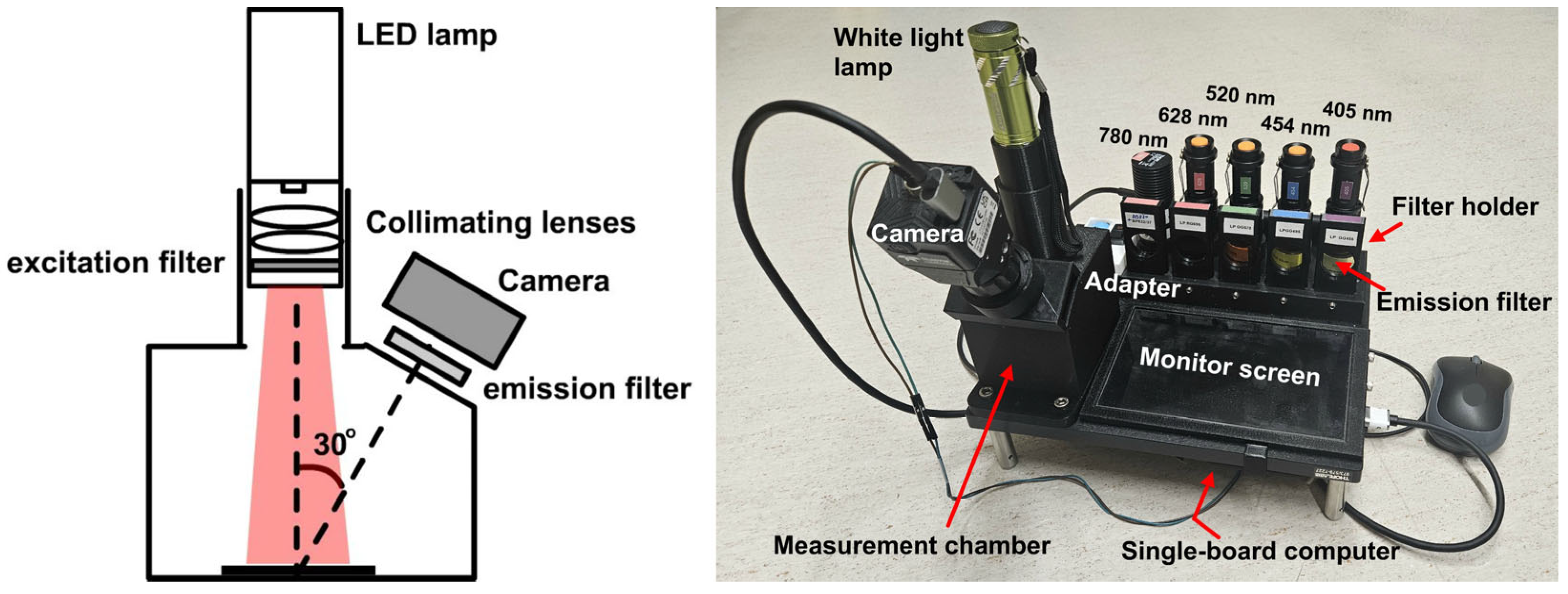 Biosensors 15 00352 g001