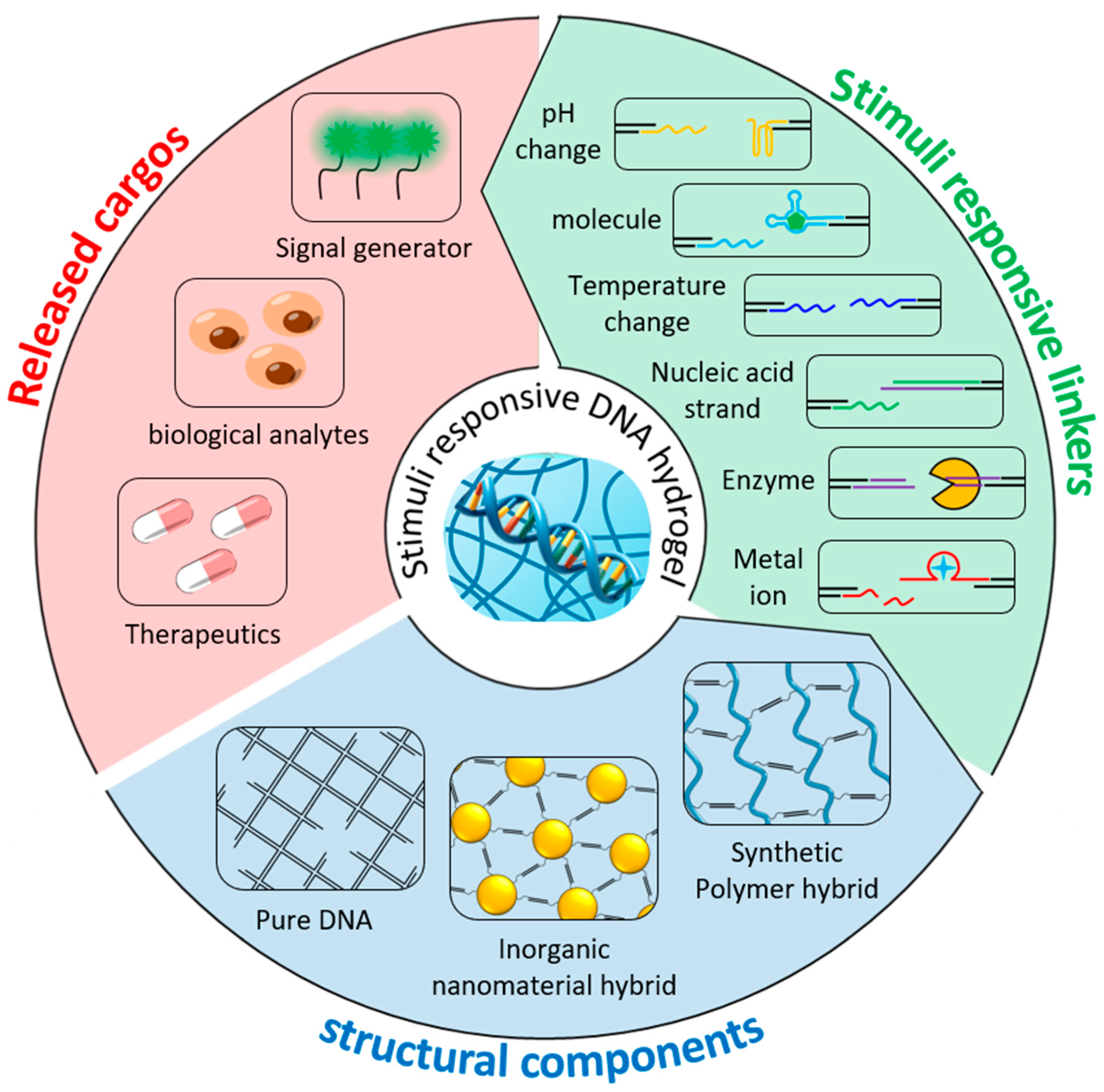 Biosensors 15 00355 g001