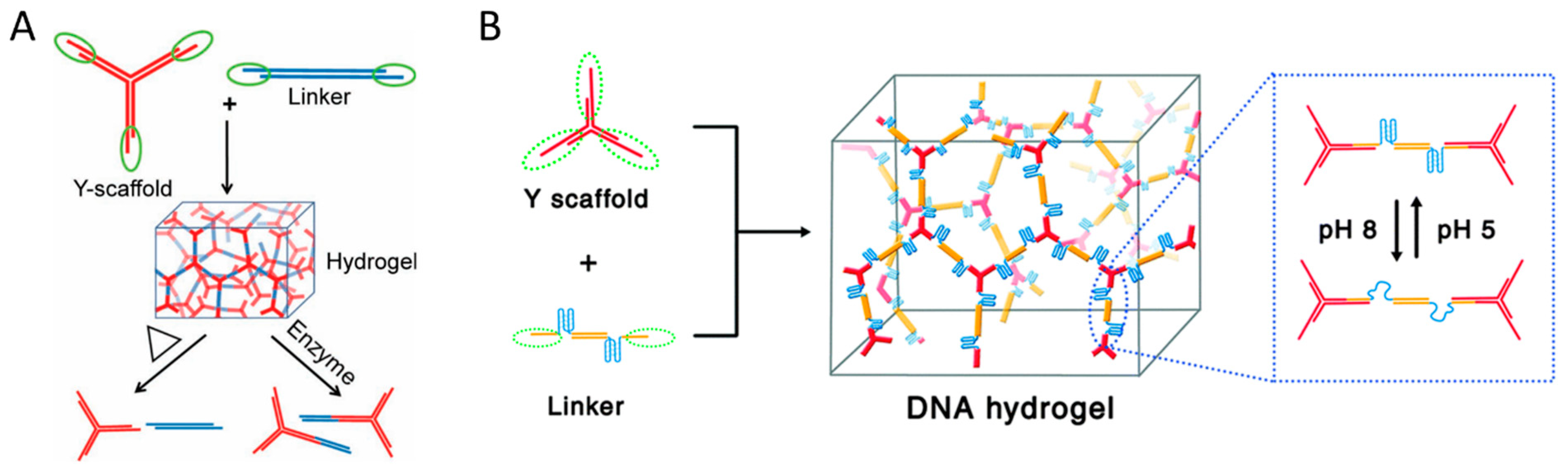 Biosensors 15 00355 g003