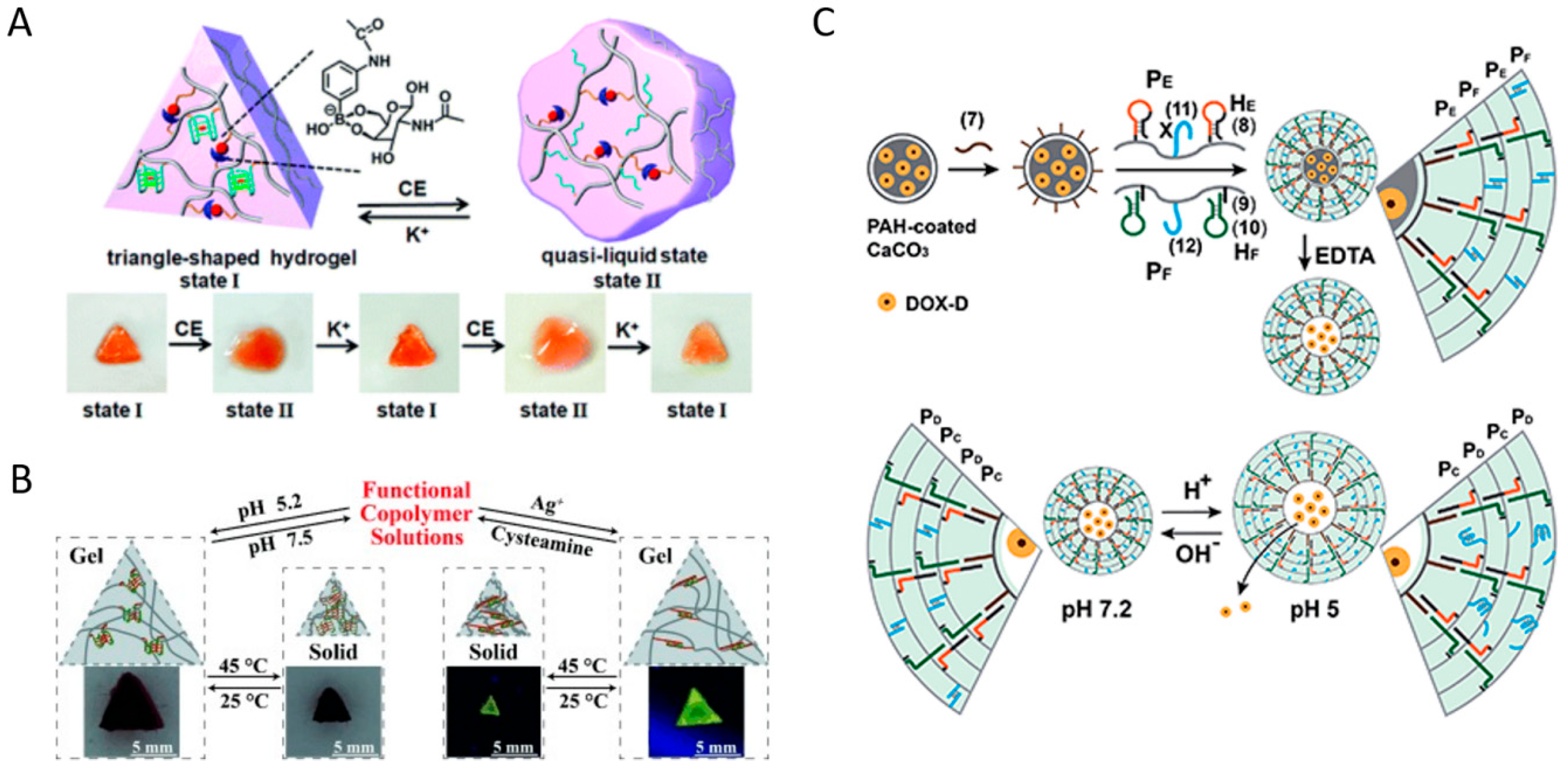 Biosensors 15 00355 g007
