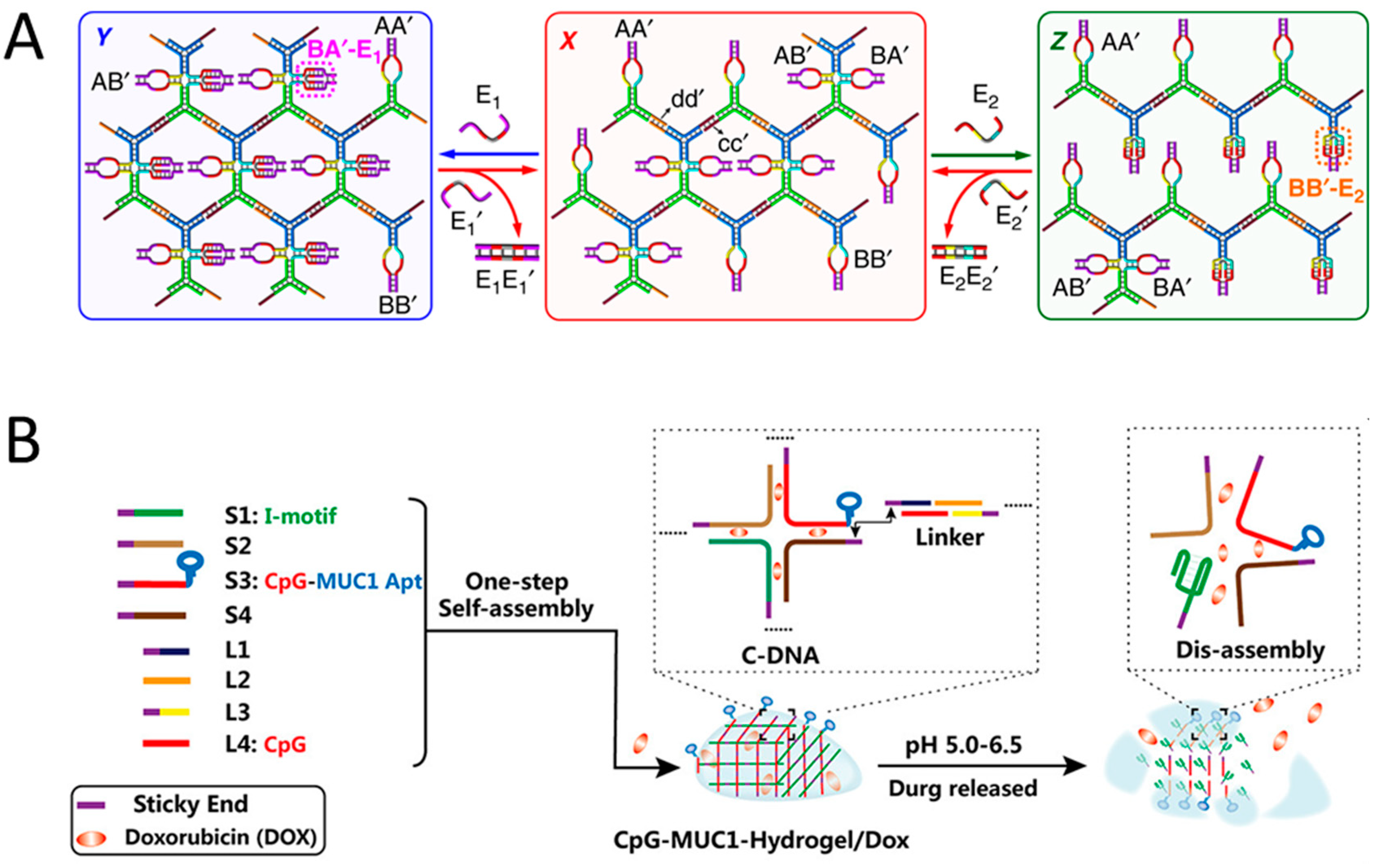 Biosensors 15 00355 g010