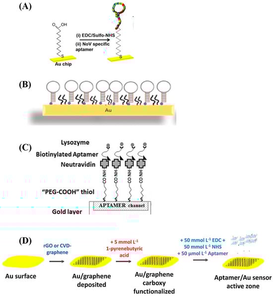 Biosensors 15 00359 g003