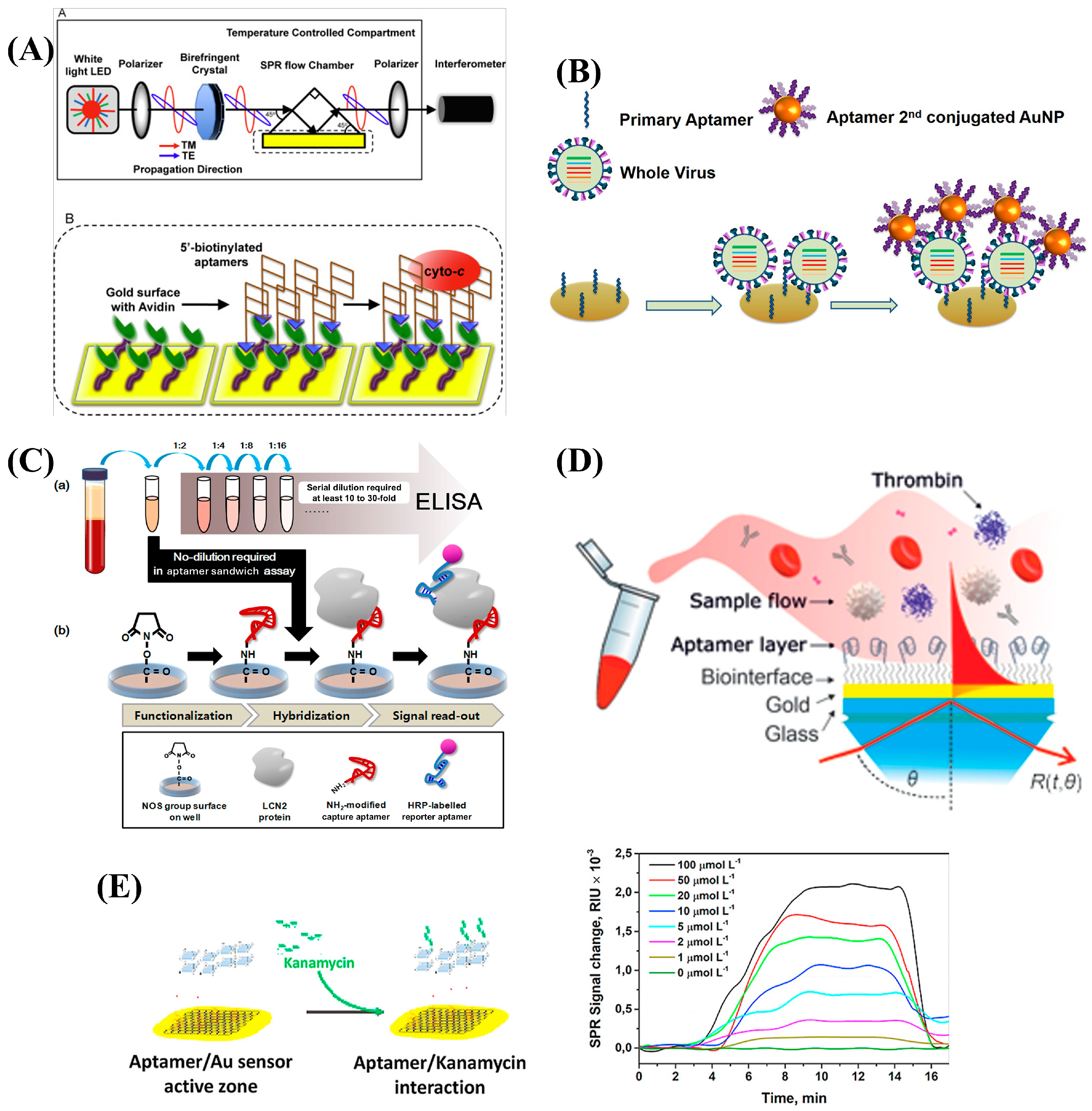 Biosensors 15 00359 g004
