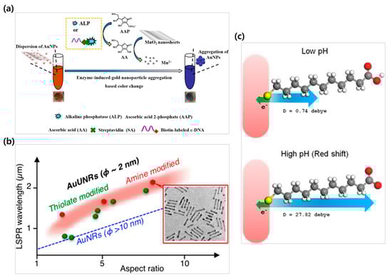 Biosensors 15 00362 g001