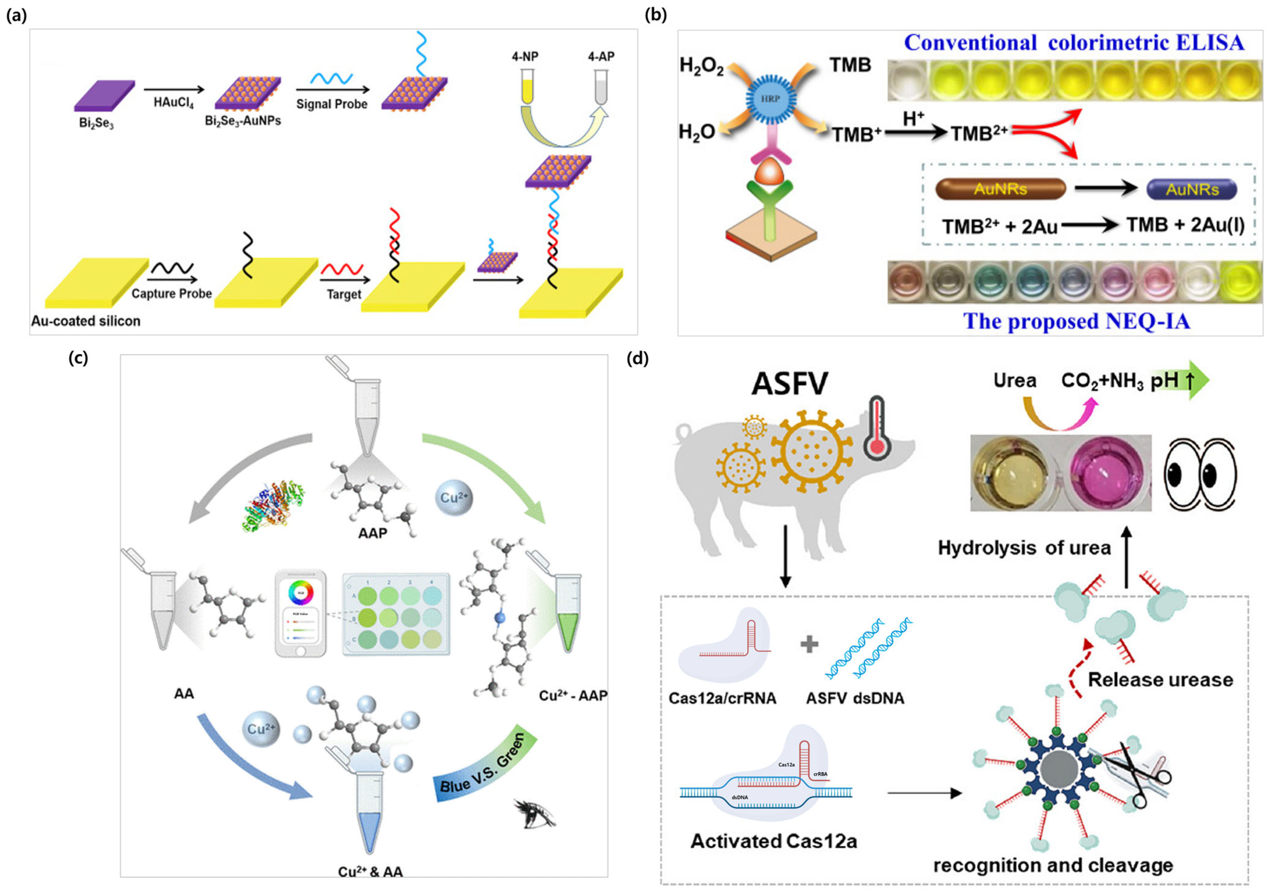 Biosensors 15 00362 g002