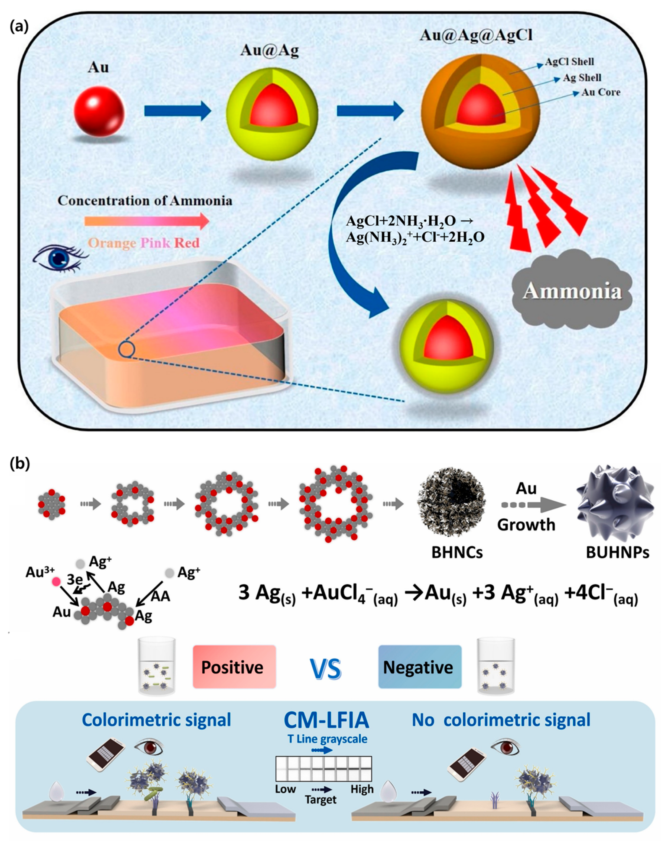 Biosensors 15 00362 g003