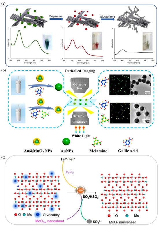 Biosensors 15 00362 g004