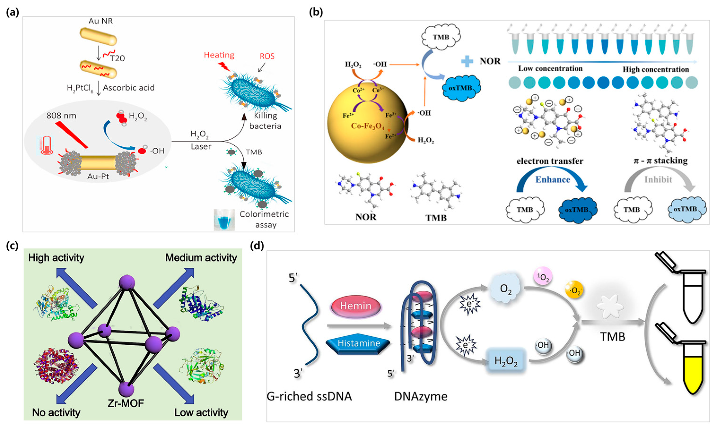 Biosensors 15 00362 g005