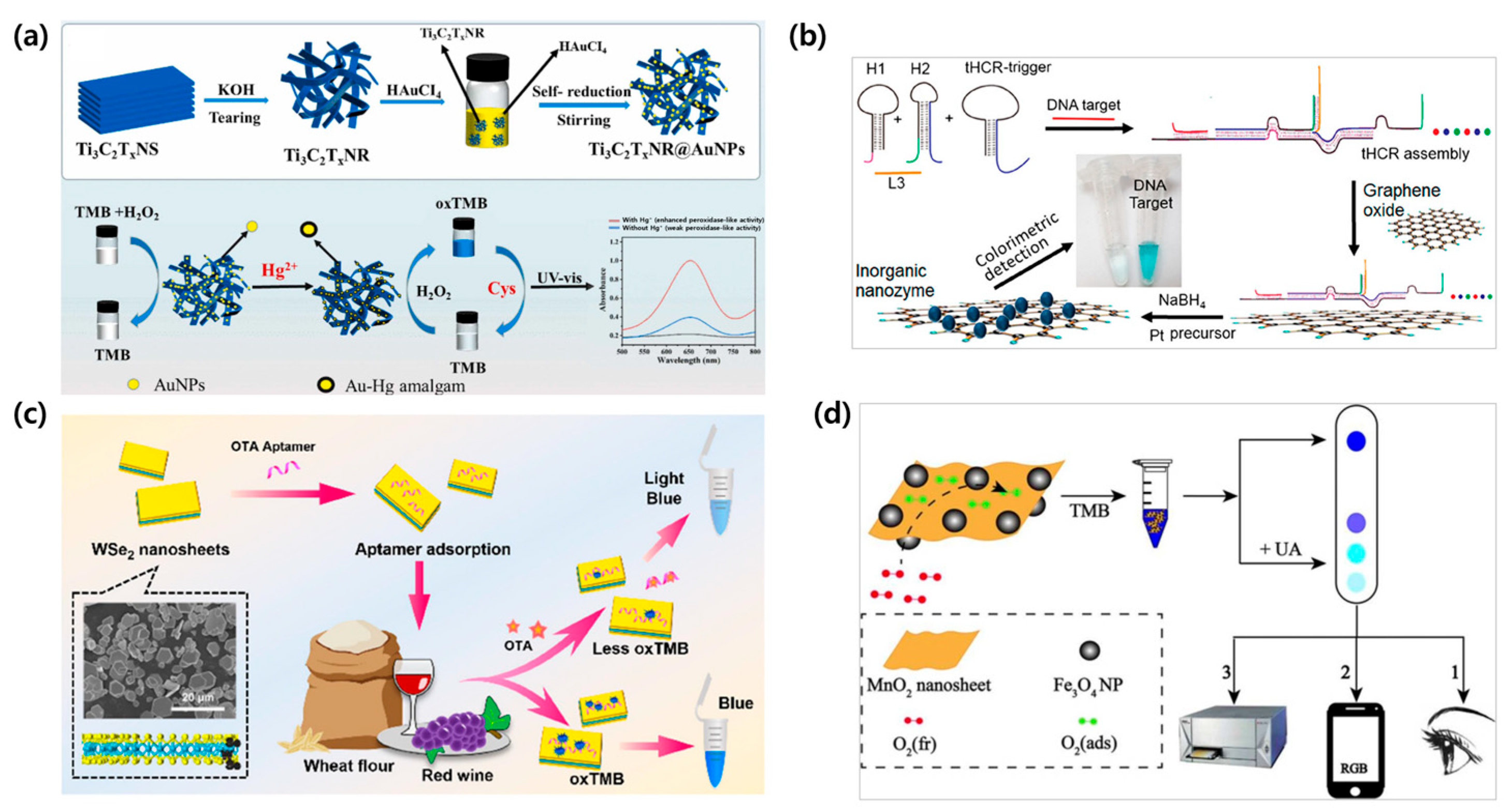 Biosensors 15 00362 g006