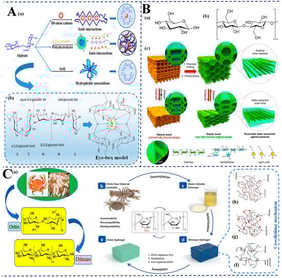 Biosensors 15 00363 g002