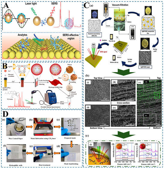 Biosensors 15 00363 g004
