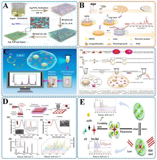 Biosensors 15 00363 g007