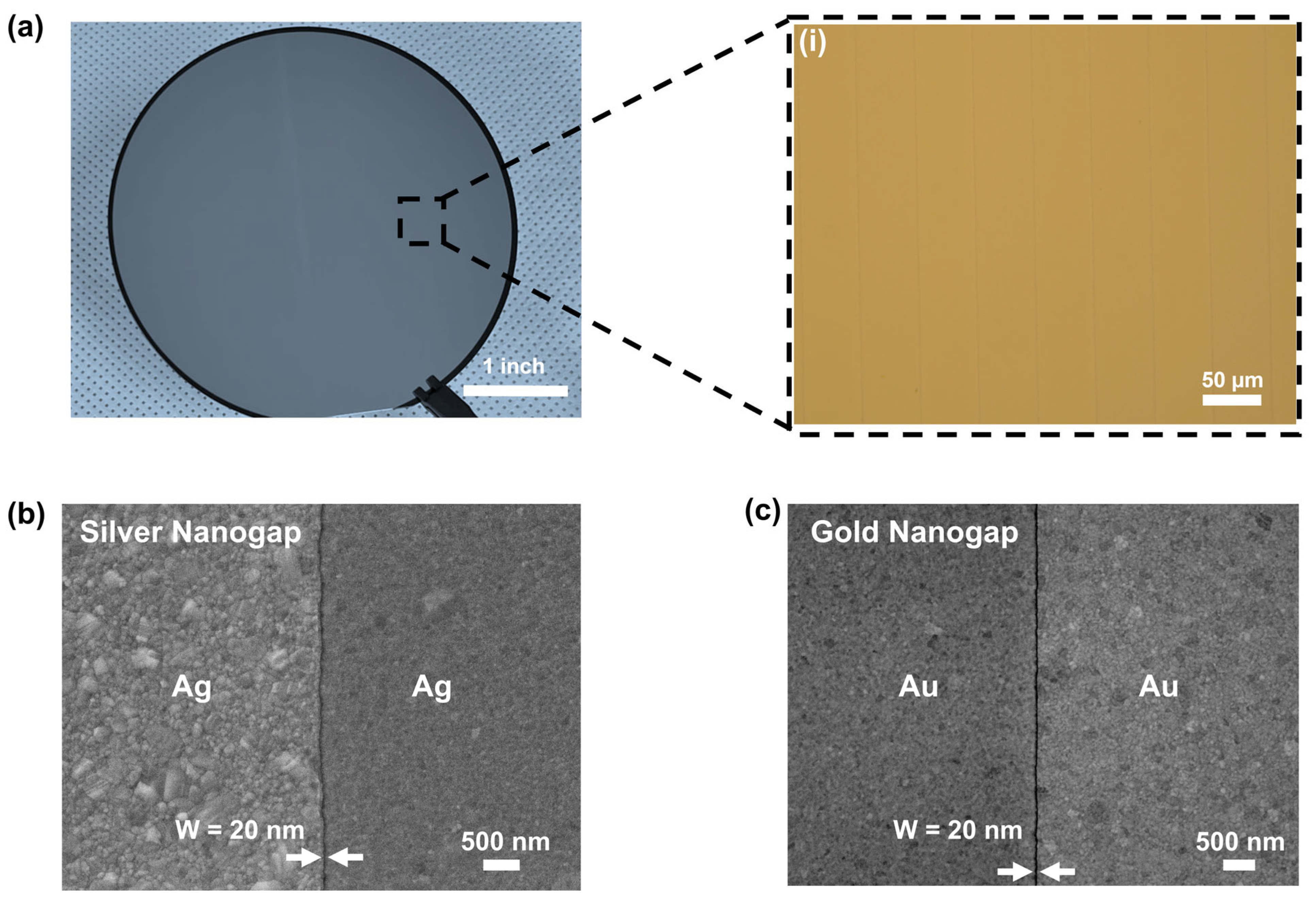 Biosensors 15 00369 g002