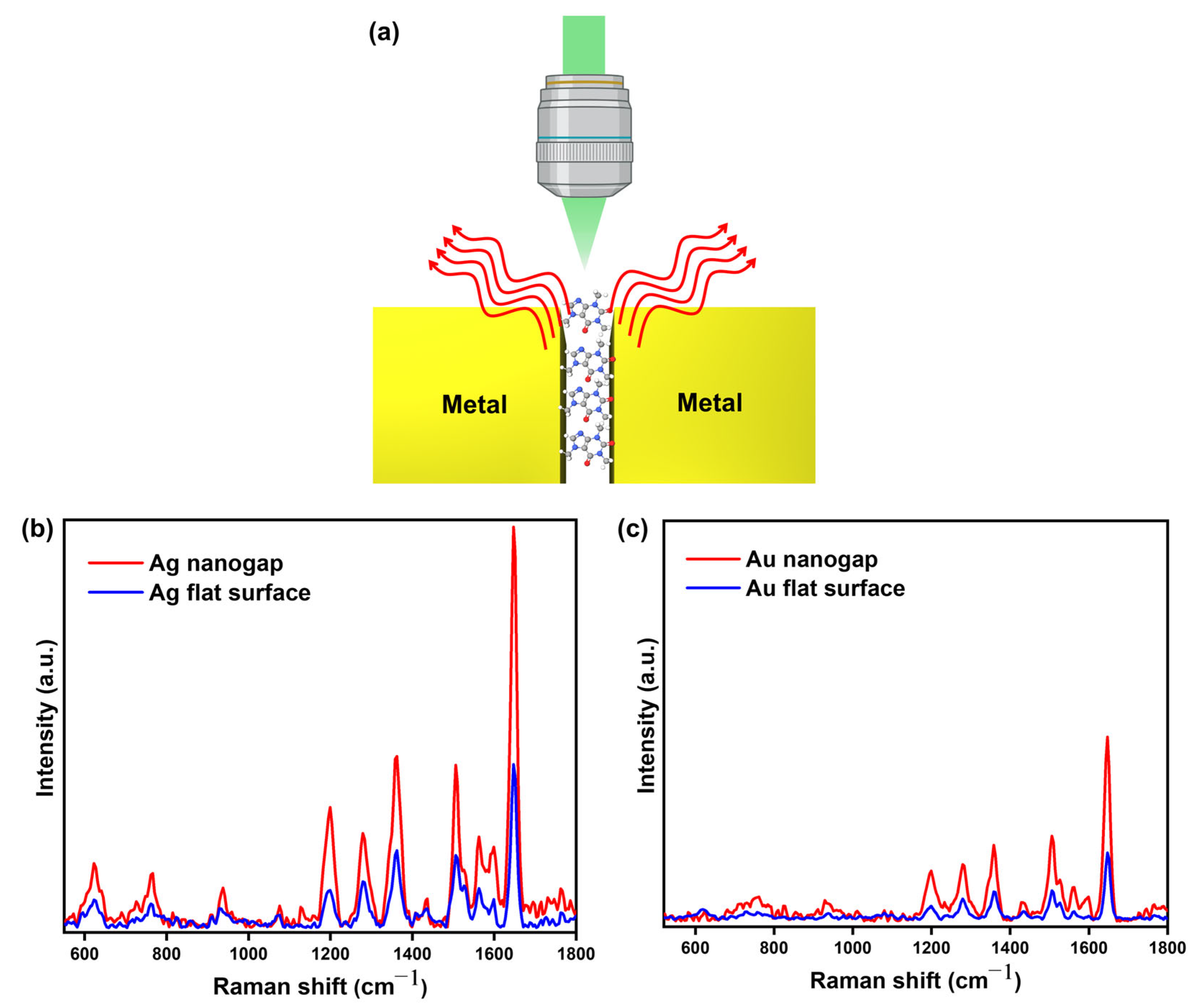 Biosensors 15 00369 g003
