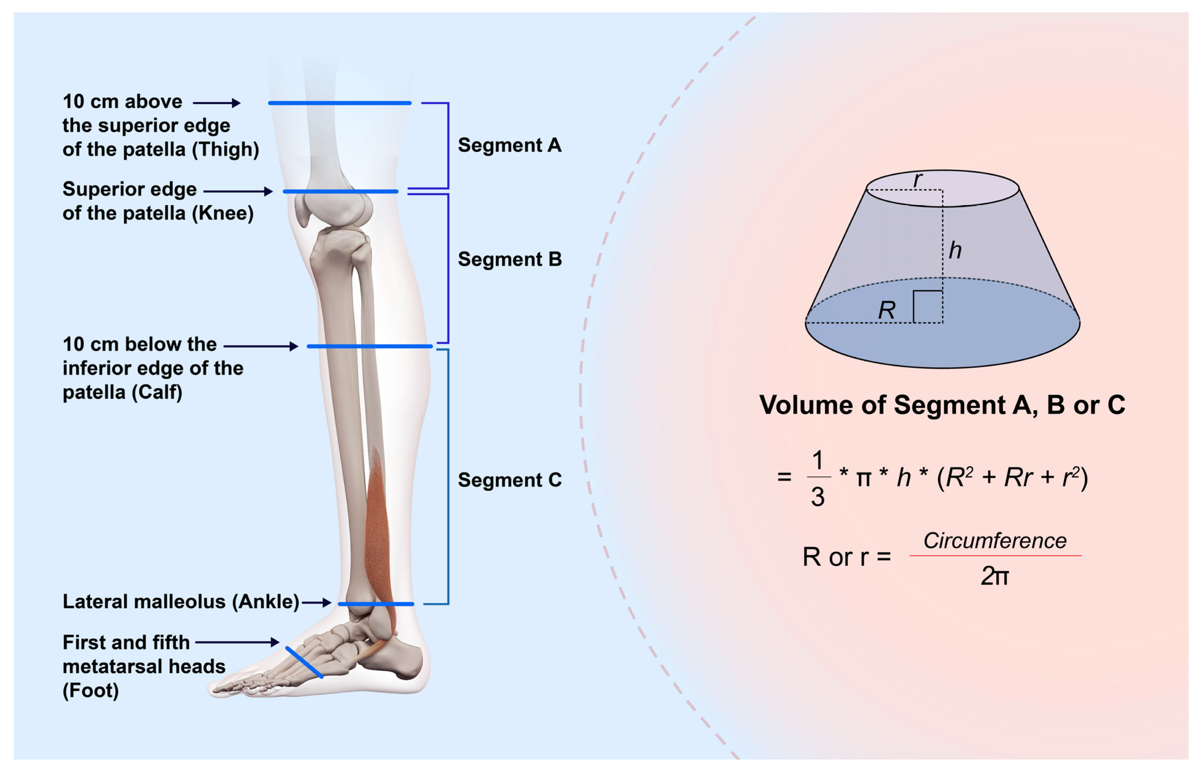 Biosensors 15 00381 g001