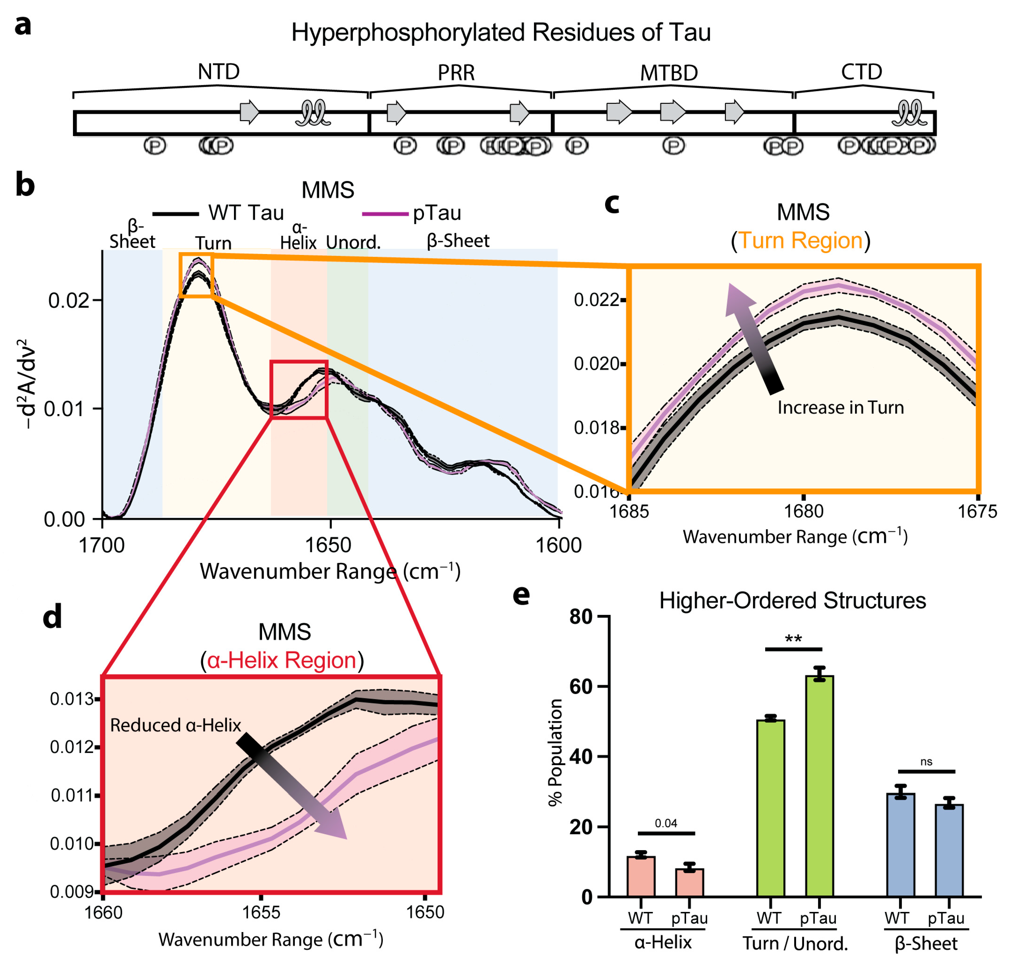 Biosensors 15 00382 g005