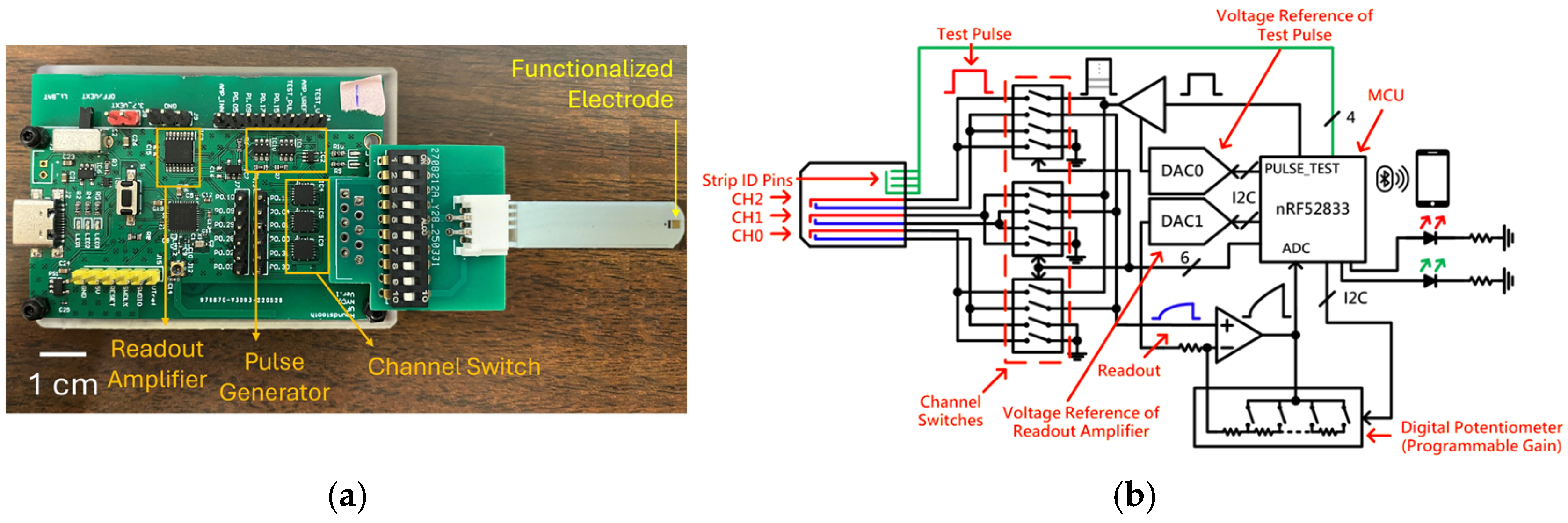 Biosensors 15 00386 g002
