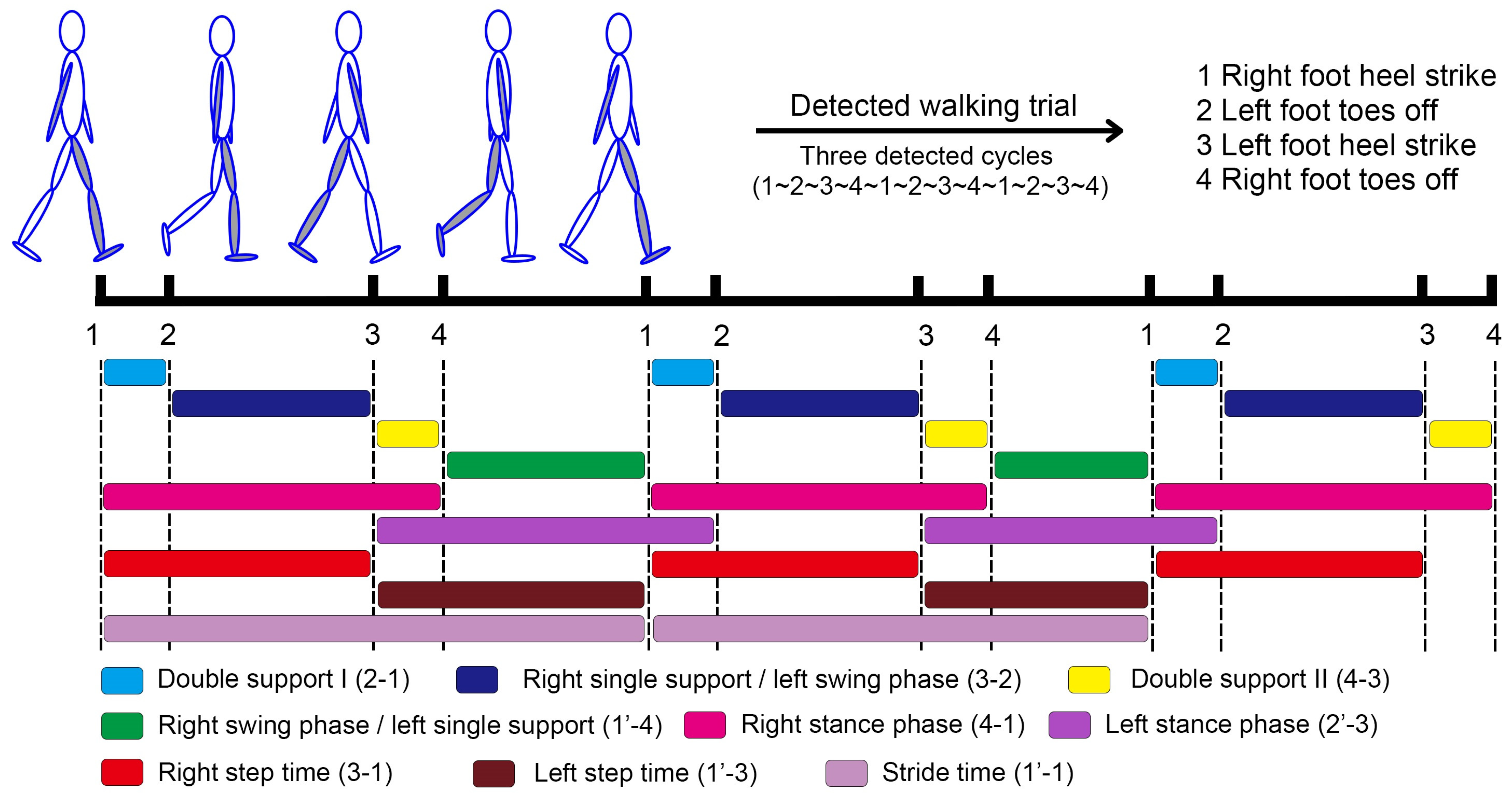 Biosensors 15 00397 g003