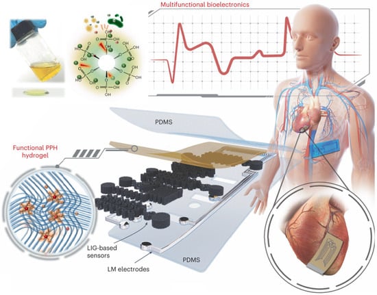 Biosensors 15 00410 g004