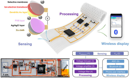 Biosensors 15 00410 g005