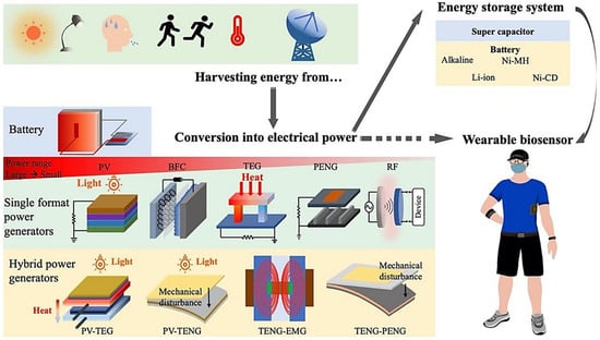 Biosensors 15 00410 g006