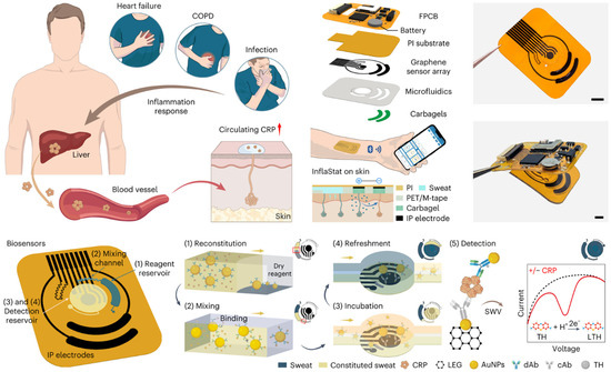 Biosensors 15 00410 g009