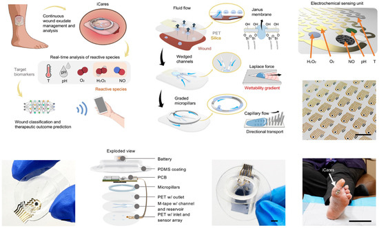 Biosensors 15 00410 g010