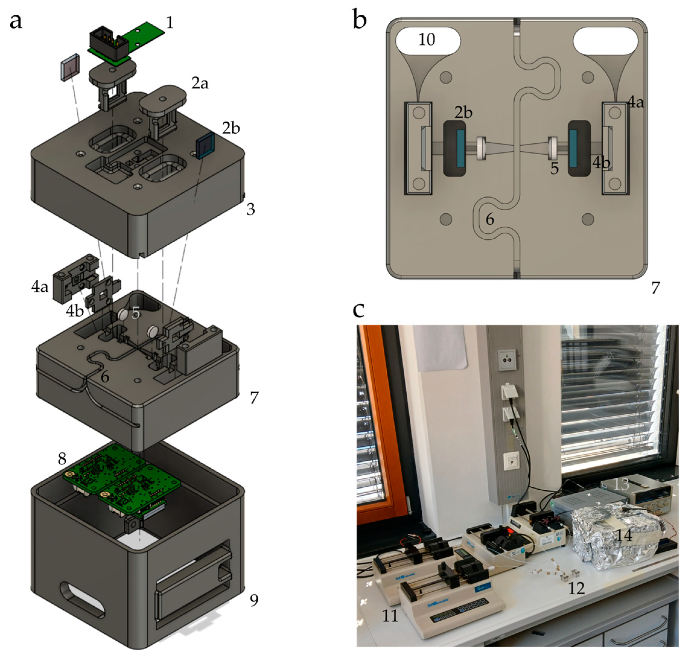 Biosensors 15 00417 g001