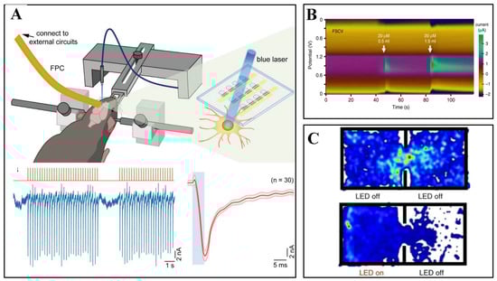 Biosensors 15 00424 g008