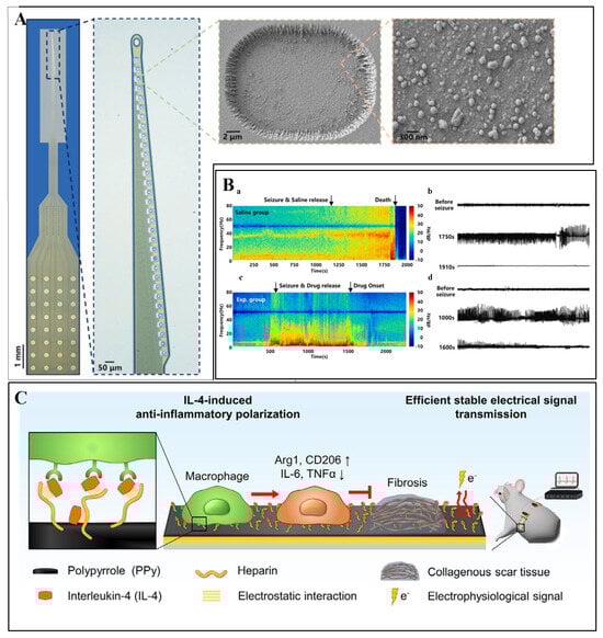 Biosensors 15 00424 g010