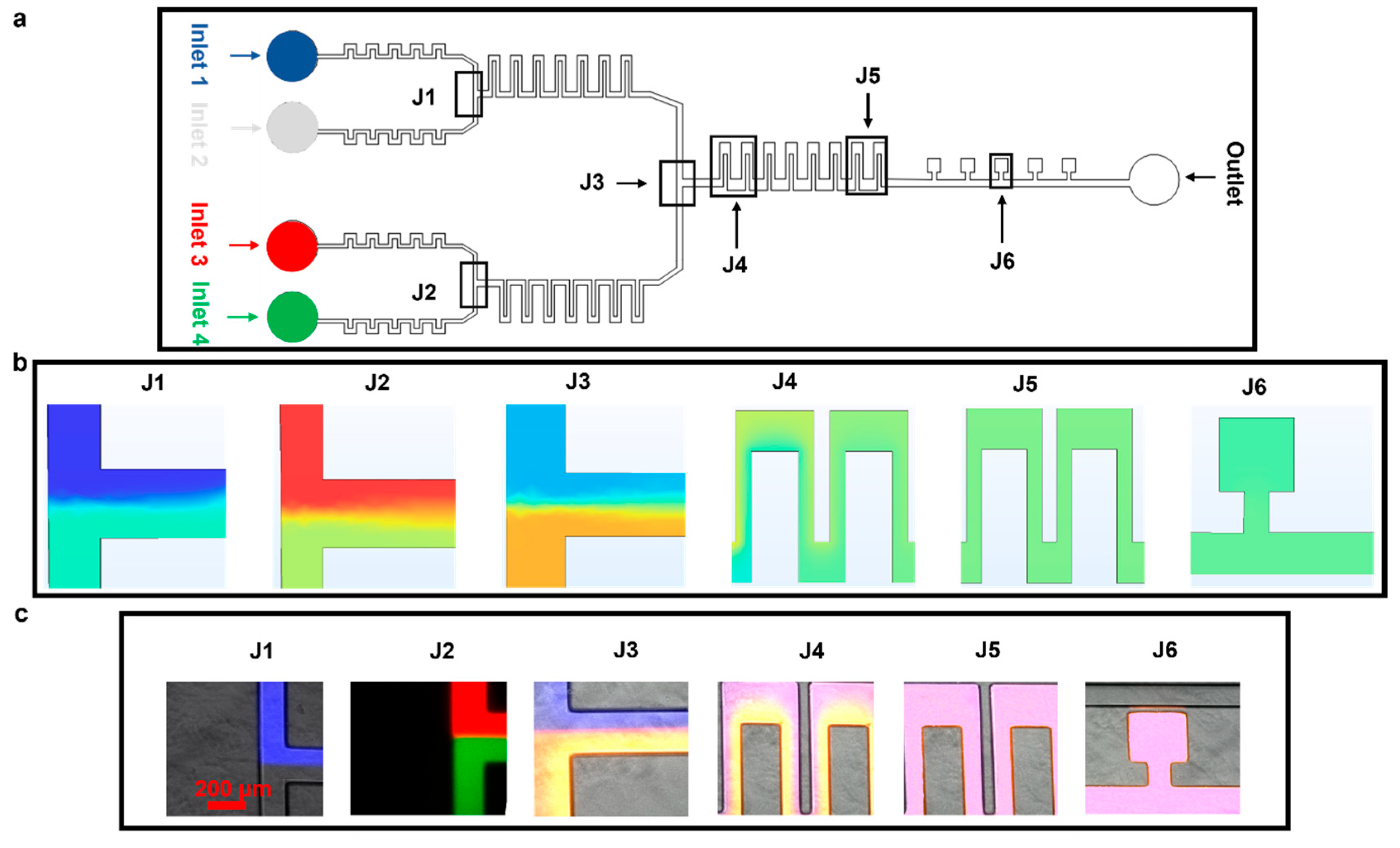 Biosensors 15 00427 g004