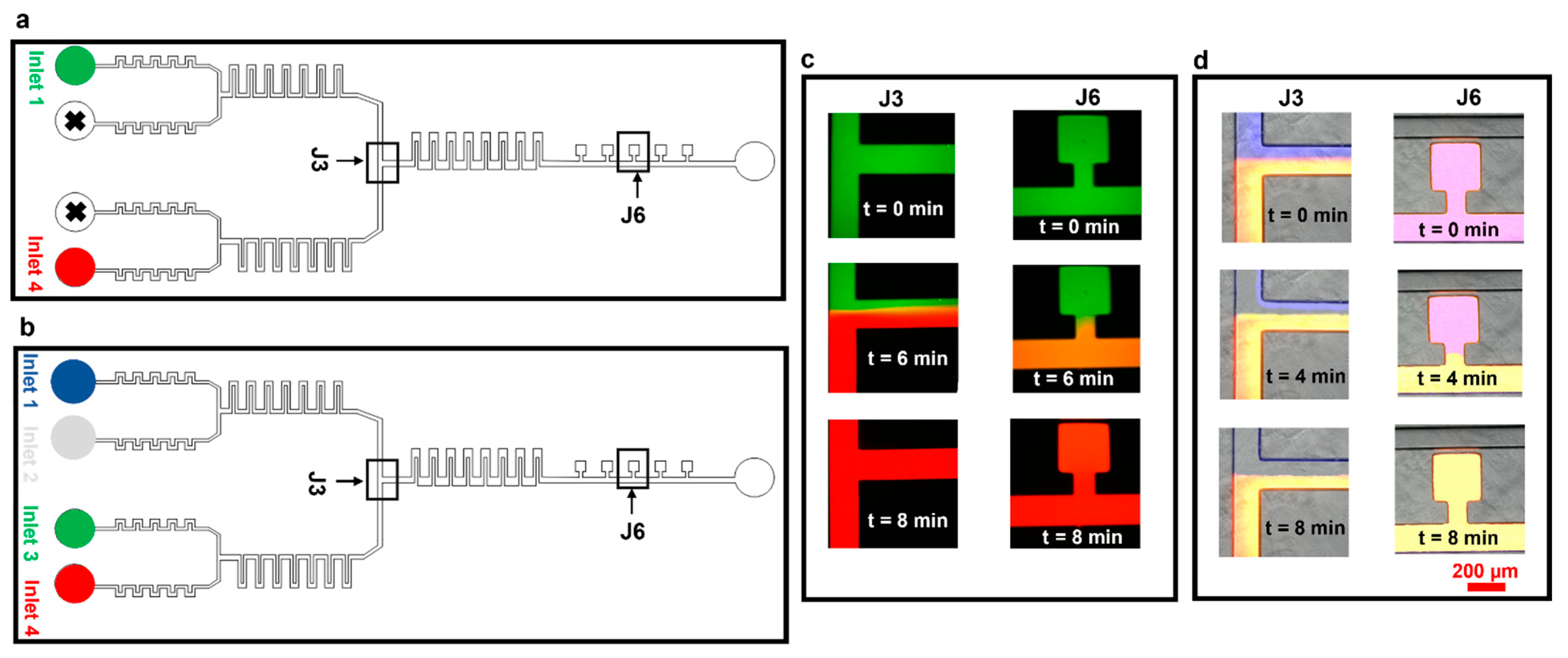 Biosensors 15 00427 g005