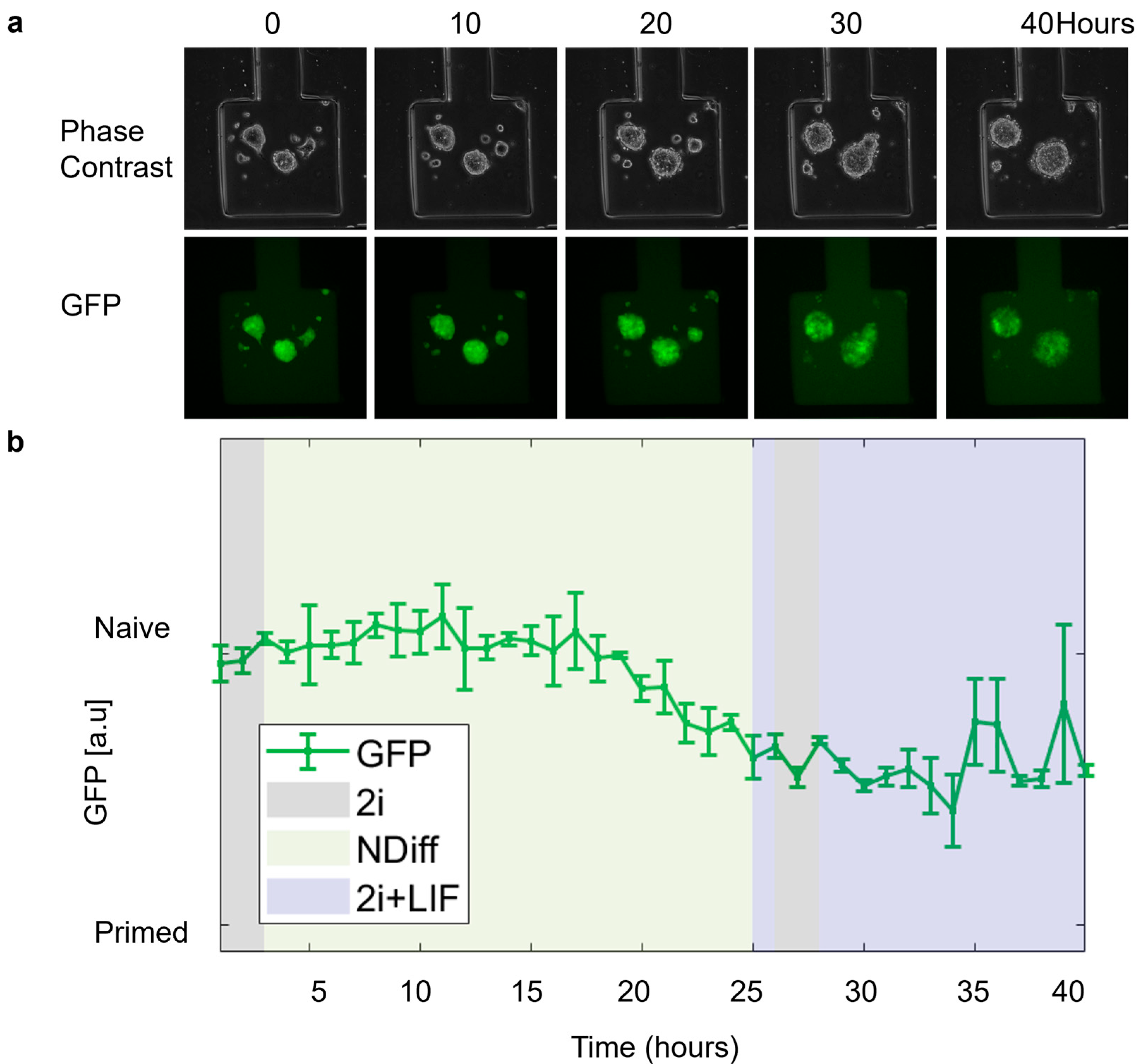 Biosensors 15 00427 g007