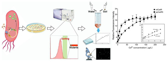 Biosensors 15 00430 g004 Biosensors 15 00430 g004