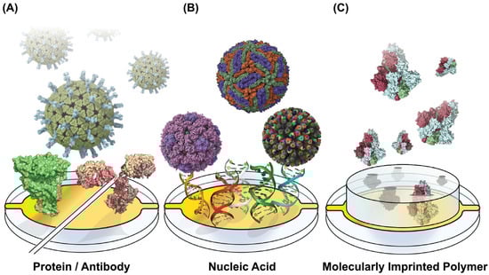 Biosensors 15 00436 g001