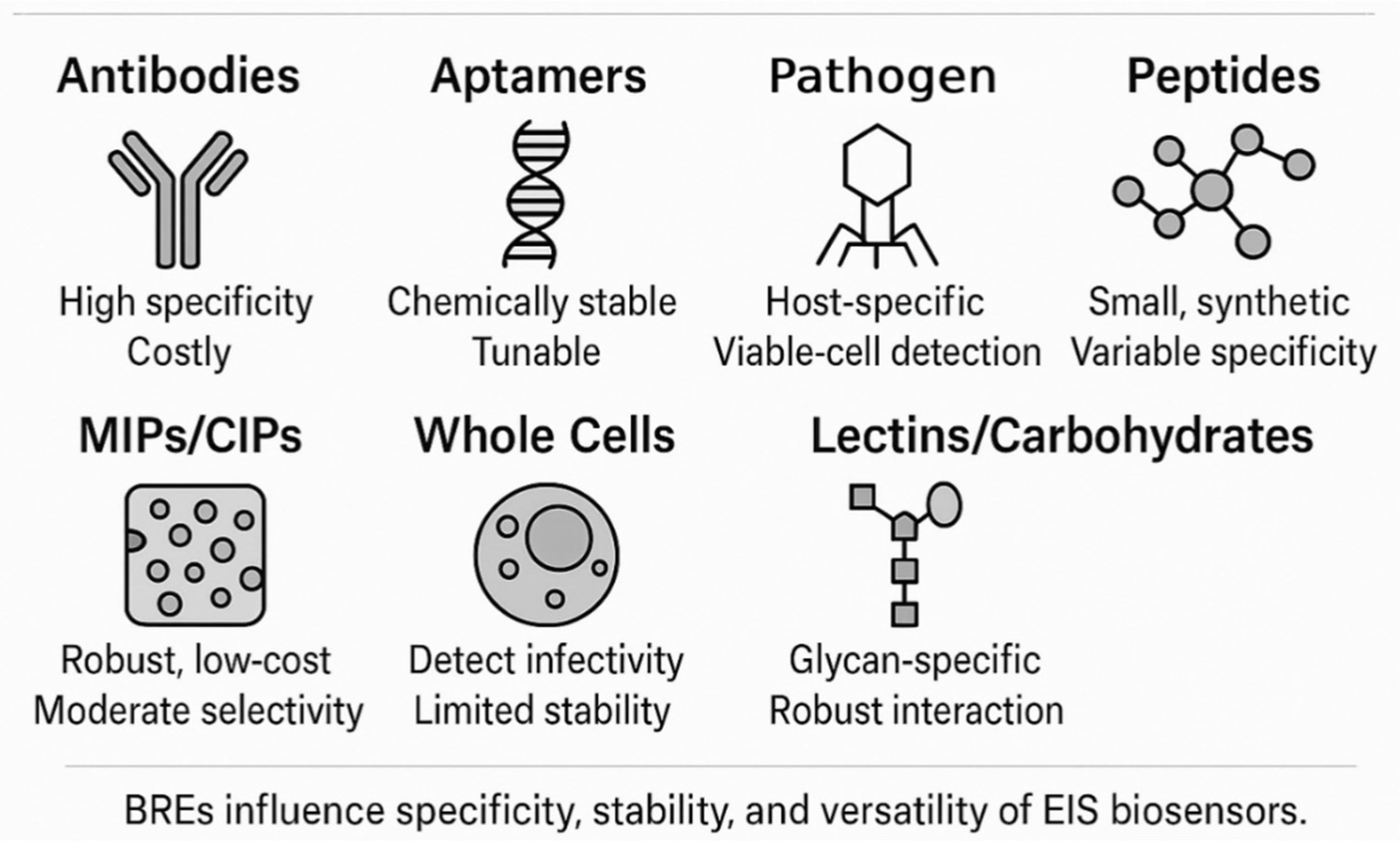 Biosensors 15 00443 g002