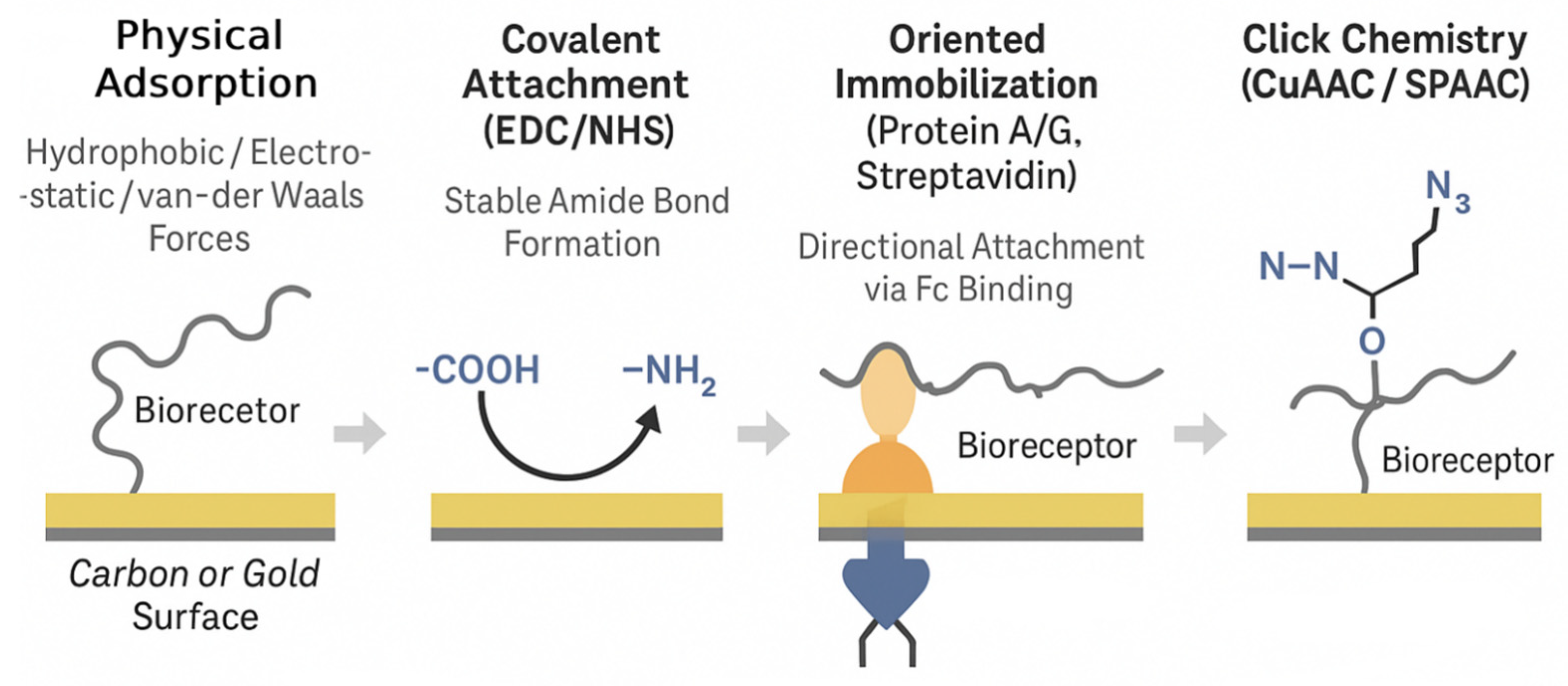 Biosensors 15 00443 g004