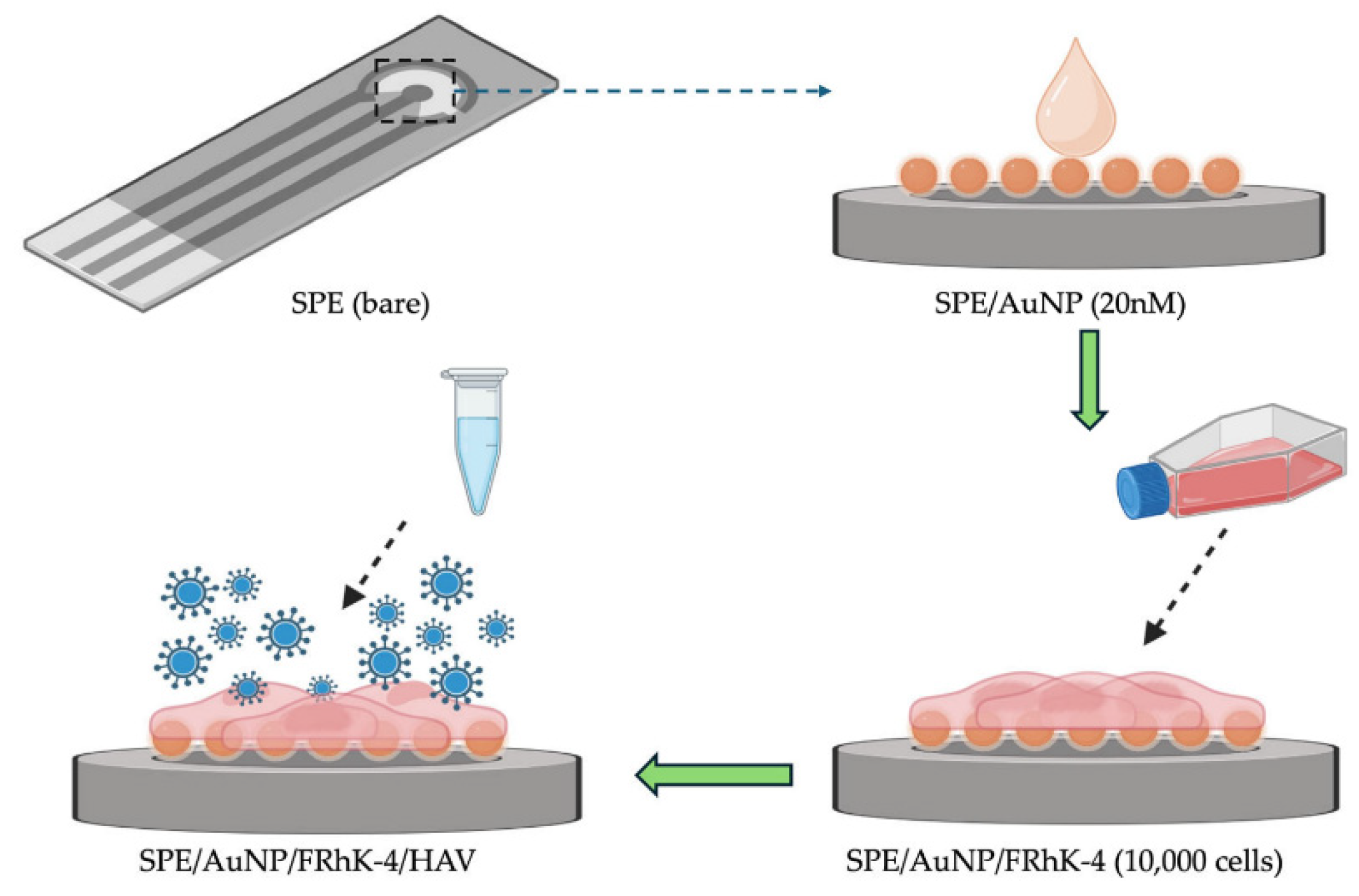 Biosensors 15 00443 g006